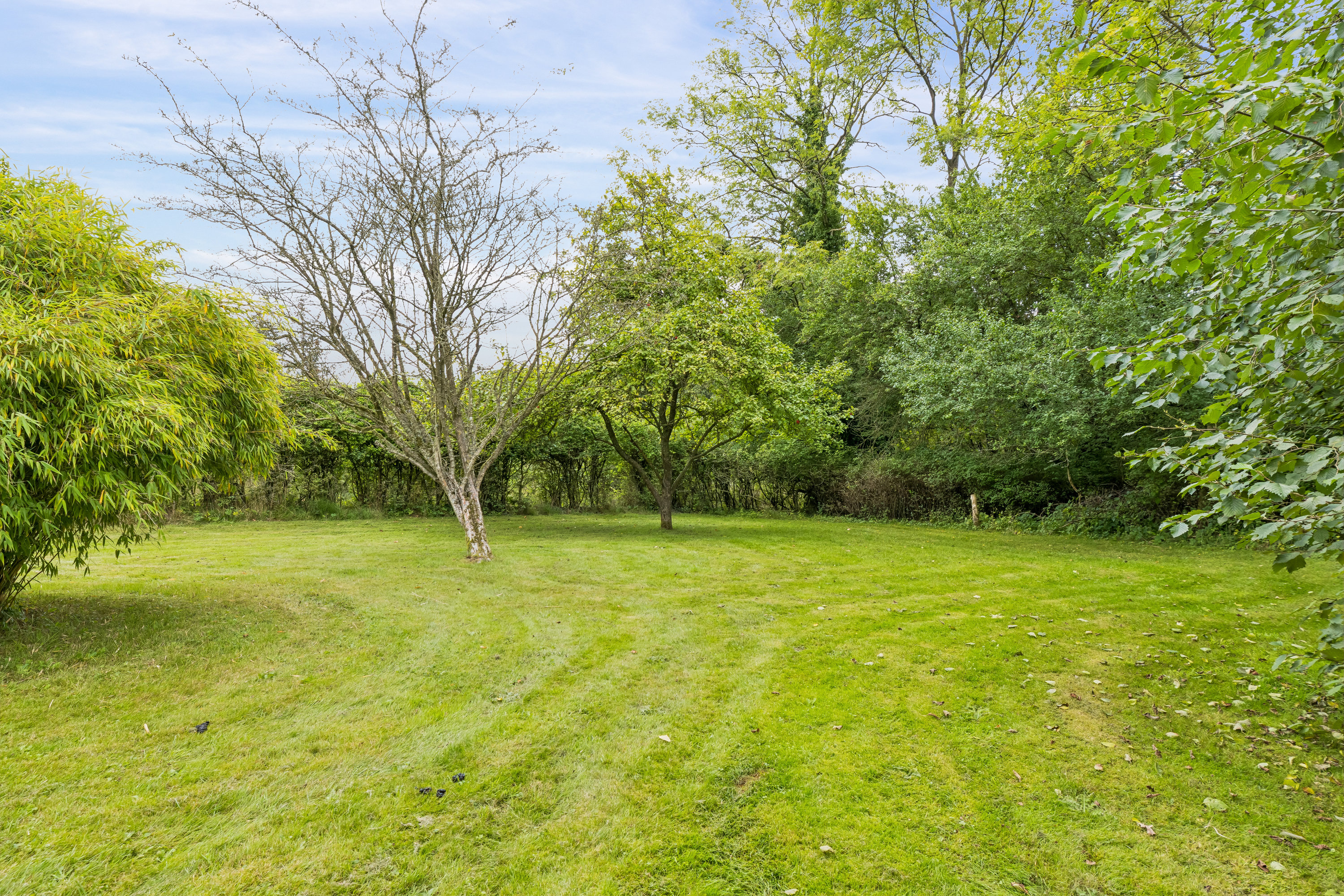 Fremhævet have billede i fuldskærmstilstand. Billede af Limbækvej 8, 6300 Gråsten