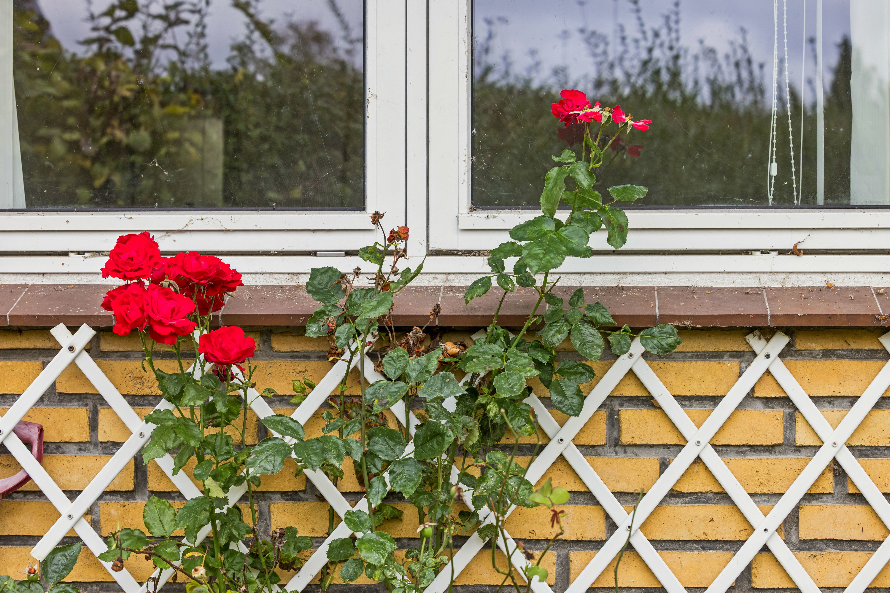 Fremhævet ejendom 1 billede i fuldskærmstilstand. Billede af Tyrsbjergvej 110, Korup, 5210 Odense NV