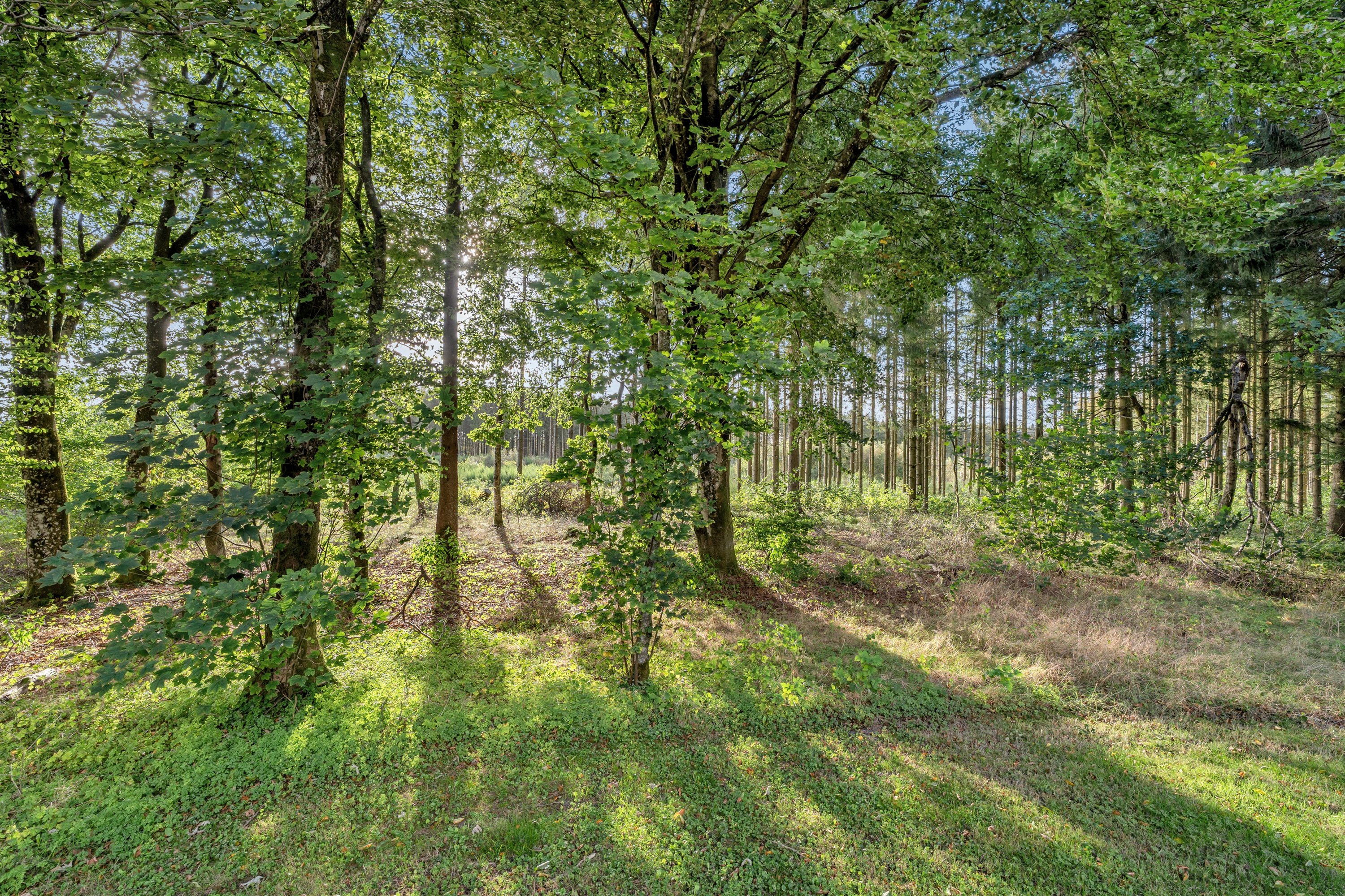 Fremhævet område billede i fuldskærmstilstand. Billede af Søndre Kirkevej 6, 7190 Billund