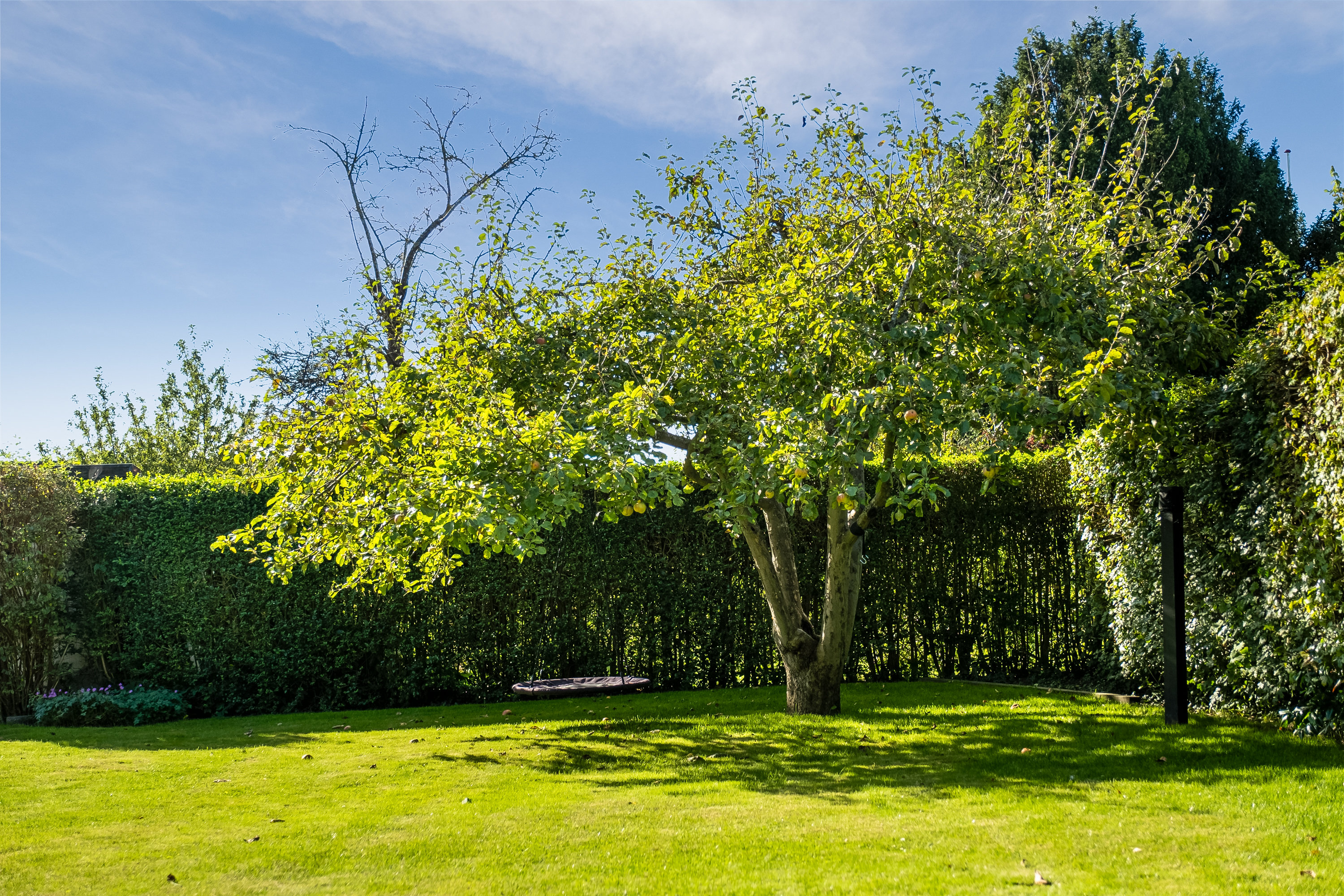 Fremhævet have billede i fuldskærmstilstand. Billede af Aldershvilevej 37, 5800 Nyborg