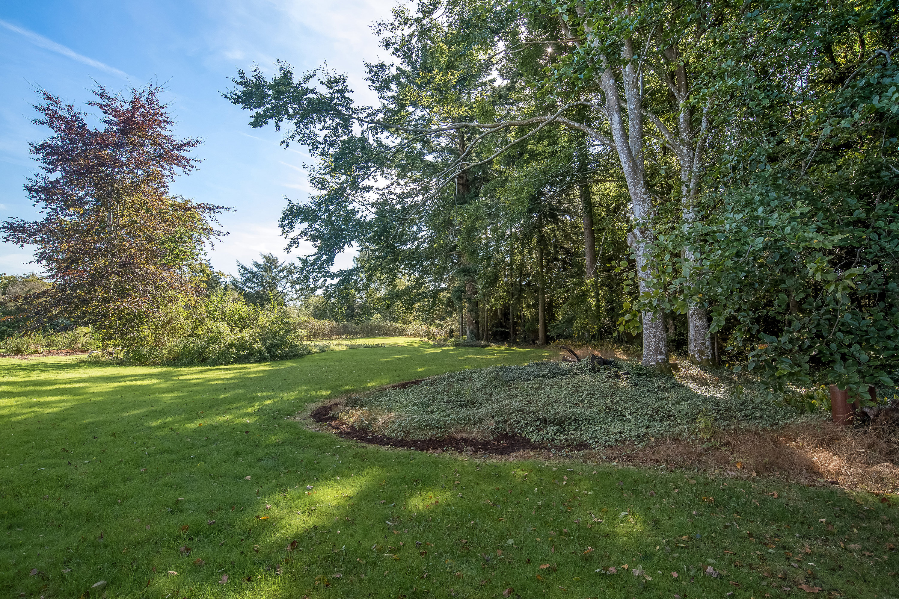 Fremhævet have billede i fuldskærmstilstand. Billede af Tjørnevej 16, 7540 Haderup