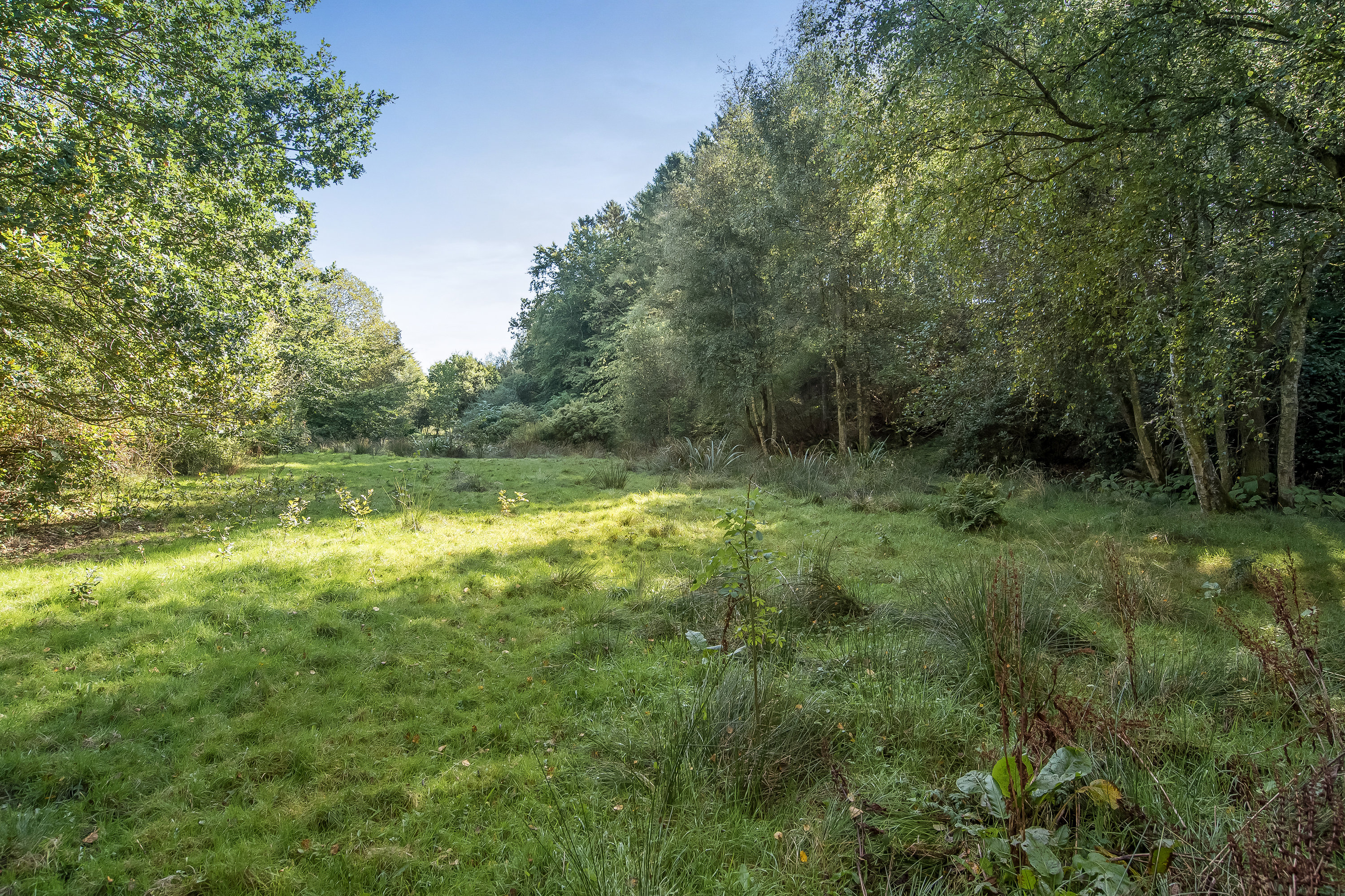 Fremhævet jordtilliggende billede i fuldskærmstilstand. Billede af Tjørnevej 16, 7540 Haderup