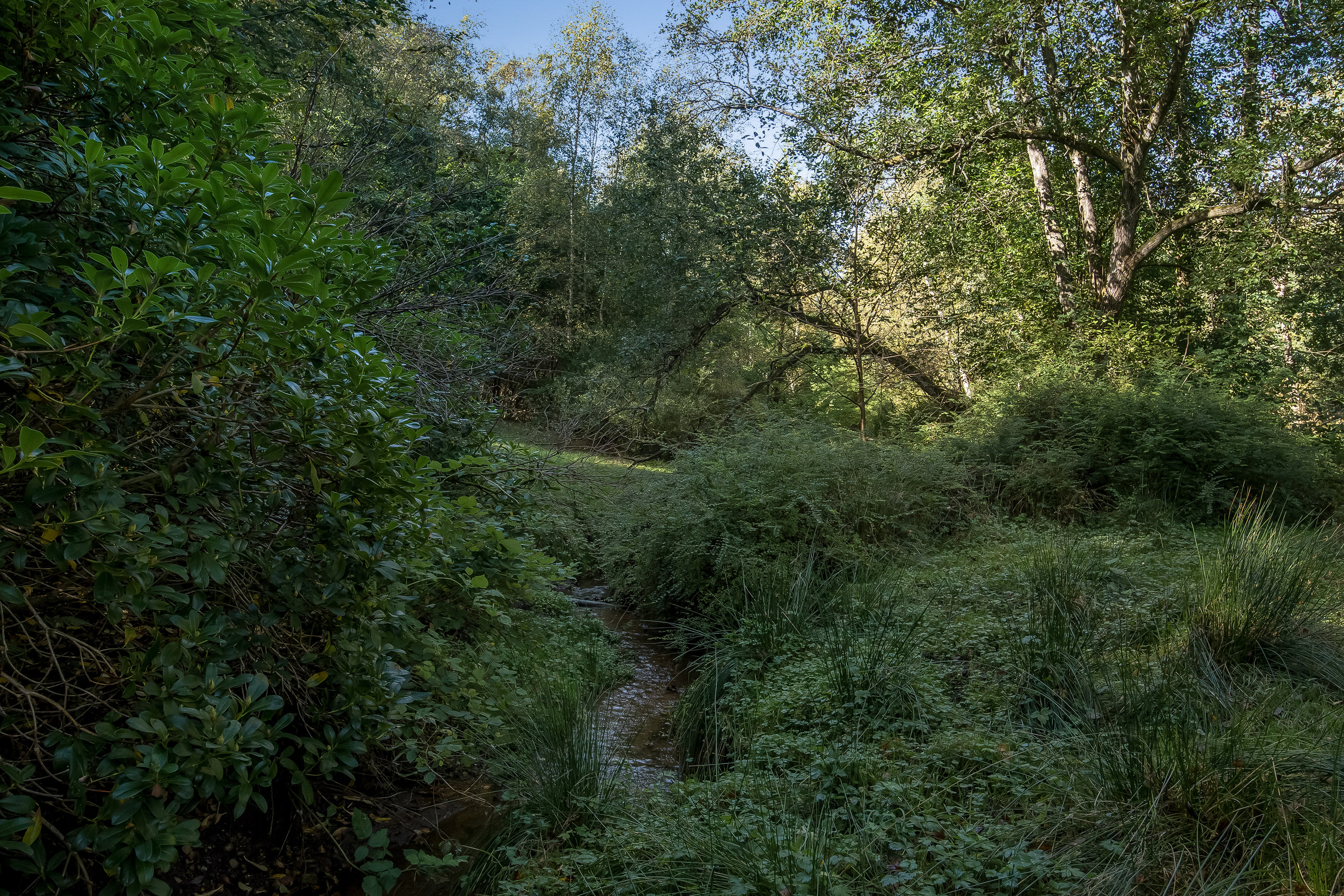 Fremhævet jordtilliggende billede i fuldskærmstilstand. Billede af Tjørnevej 16, 7540 Haderup