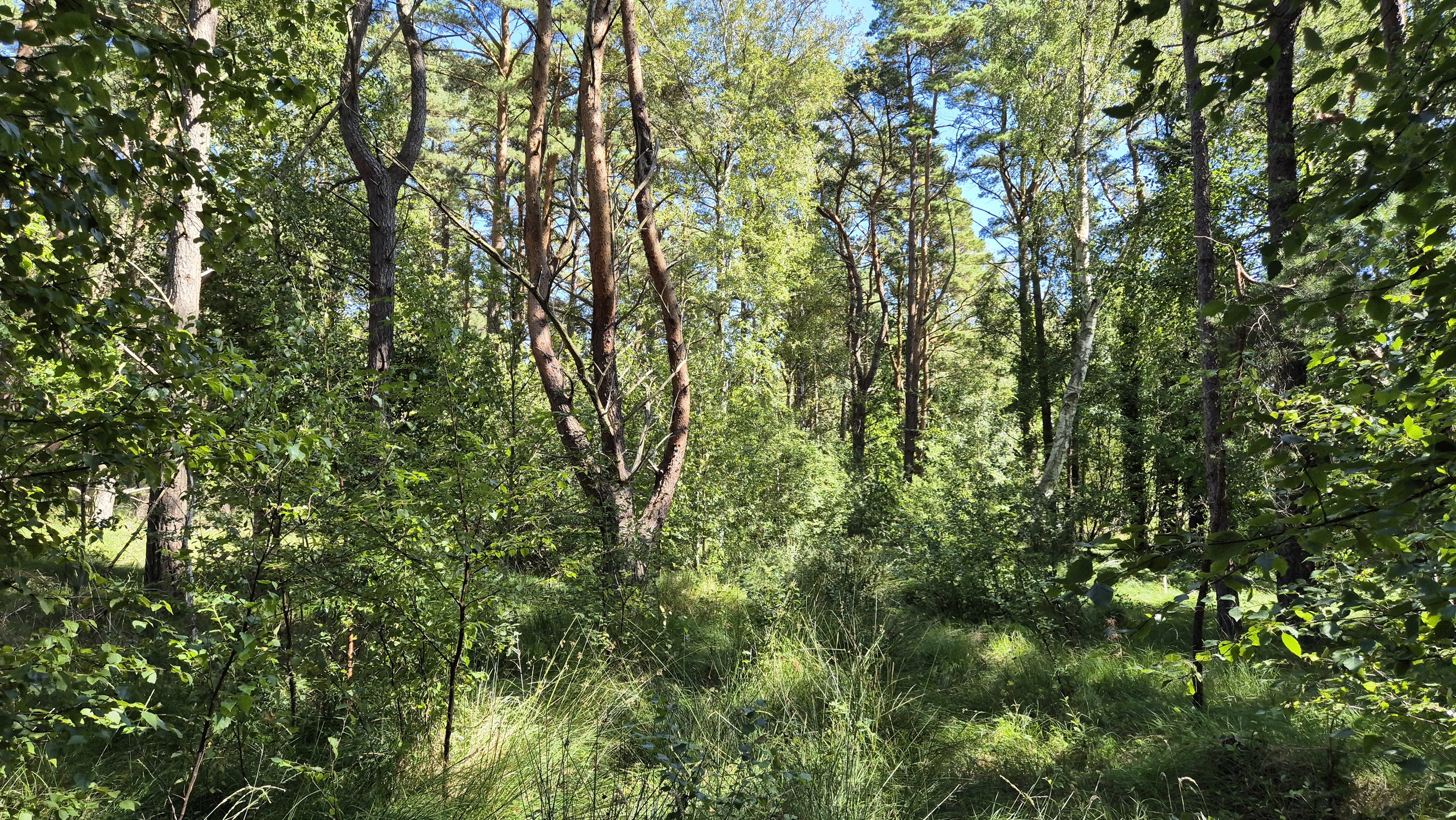 Miniaturebillede 1: . Billede af Østerby Havnegade 47, Østerby Havn, 9940 Læsø