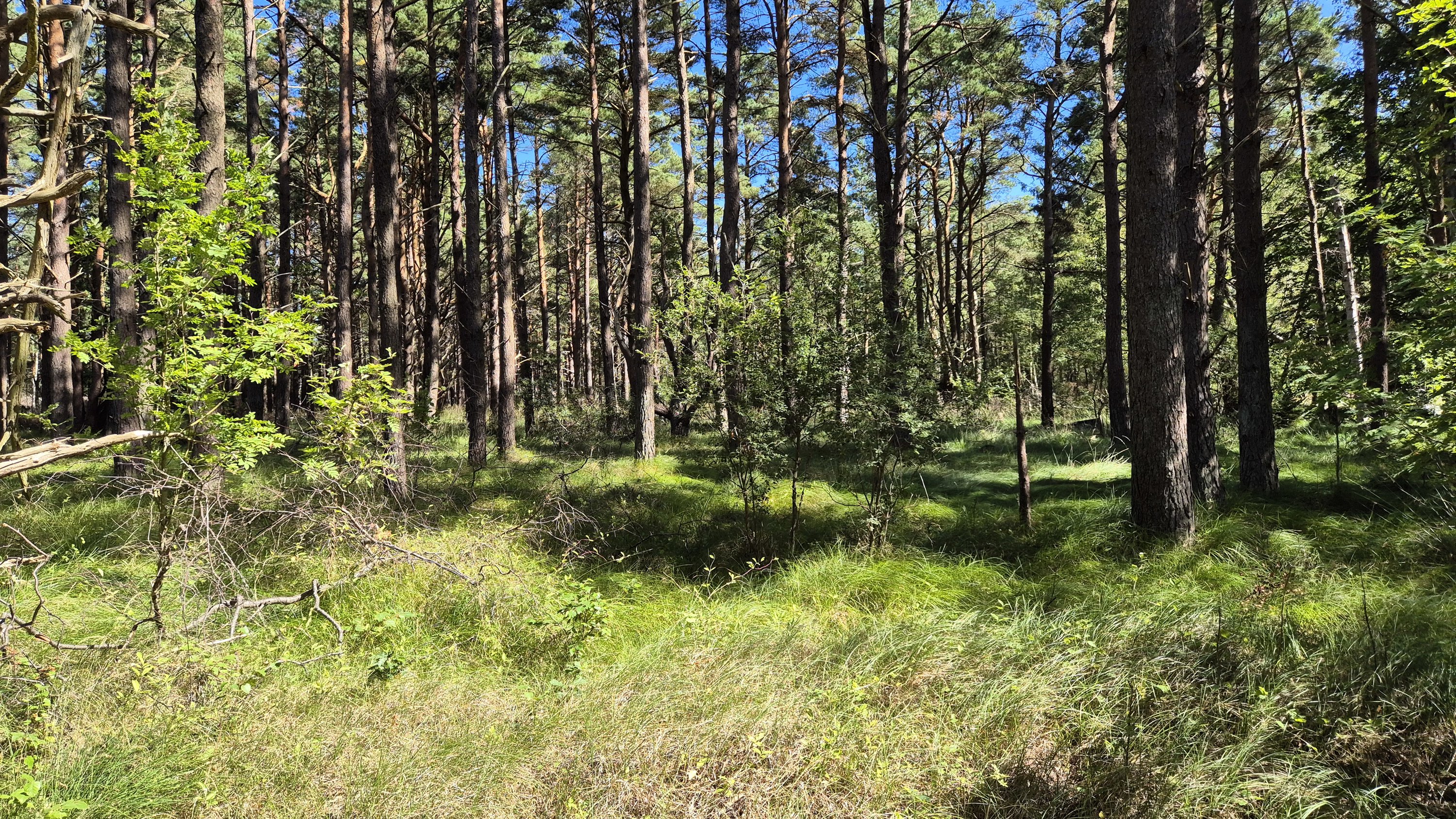 Miniaturebillede 2: . Billede af Østerby Havnegade 47, Østerby Havn, 9940 Læsø