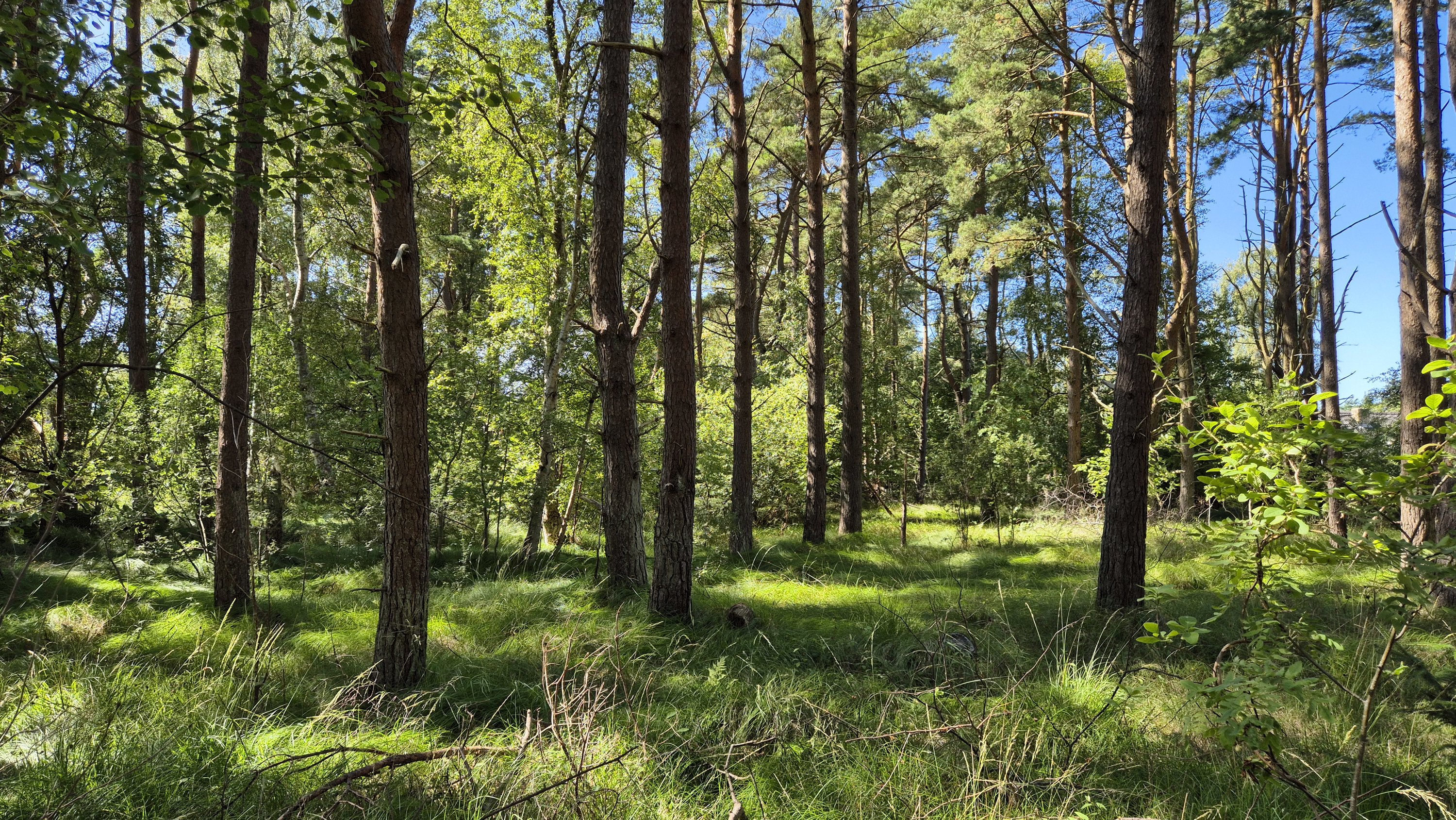 Fremhævet  billede i fuldskærmstilstand. Billede af Østerby Havnegade 47, Østerby Havn, 9940 Læsø