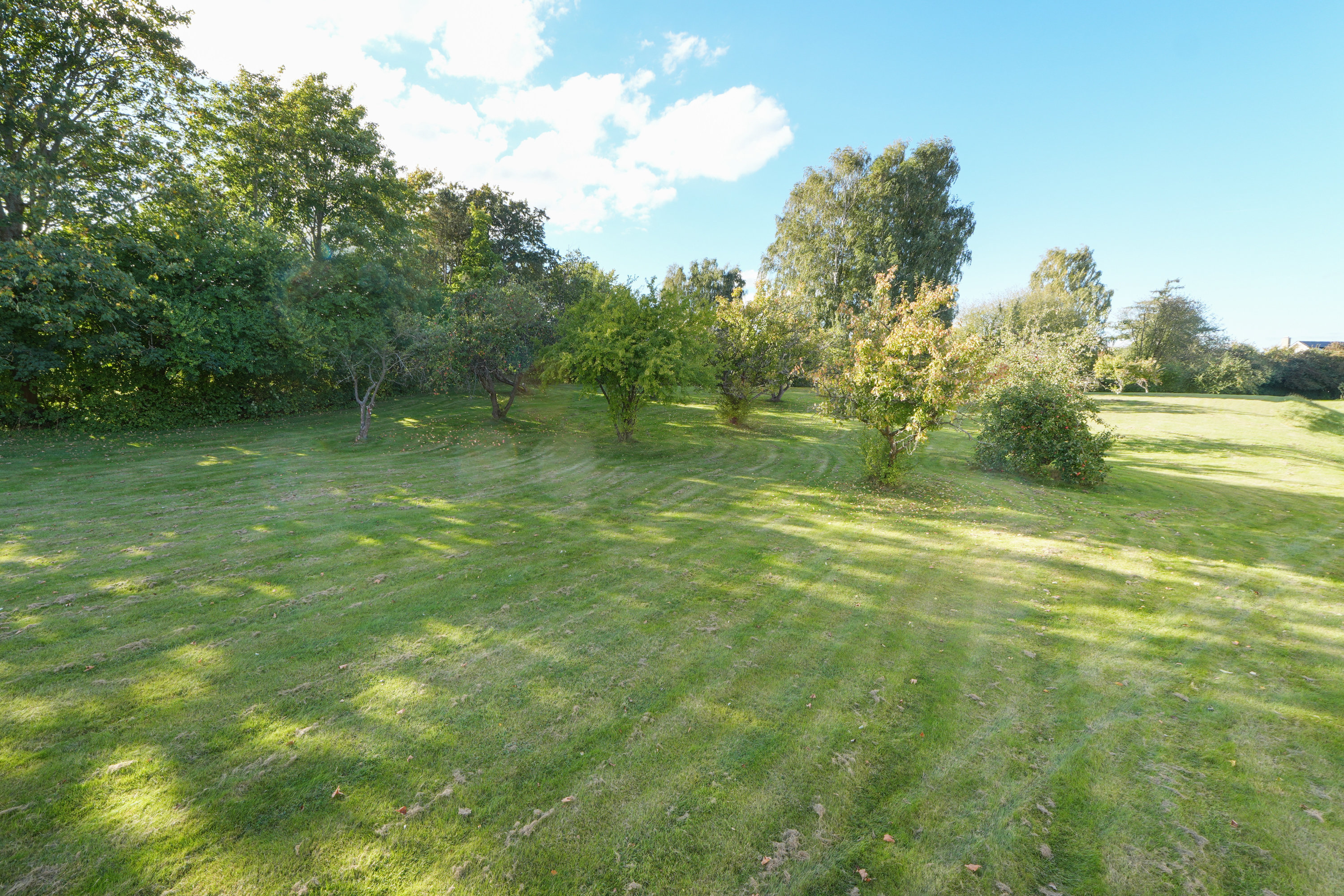 Fremhævet andet billede i fuldskærmstilstand. Billede af Bakkekrogen 3, 1. tv., 3460 Birkerød