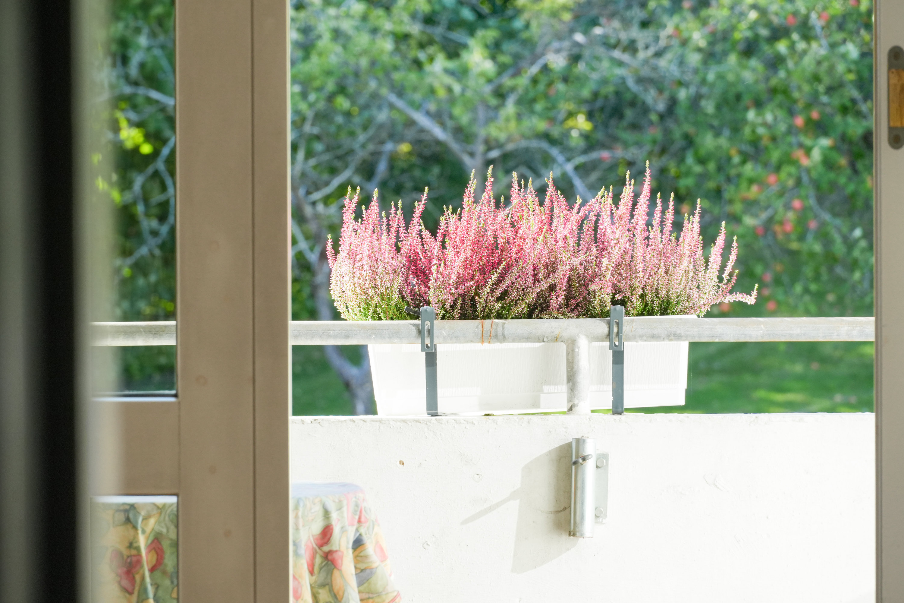 Fremhævet andet billede i fuldskærmstilstand. Billede af Bakkekrogen 3, 1. tv., 3460 Birkerød