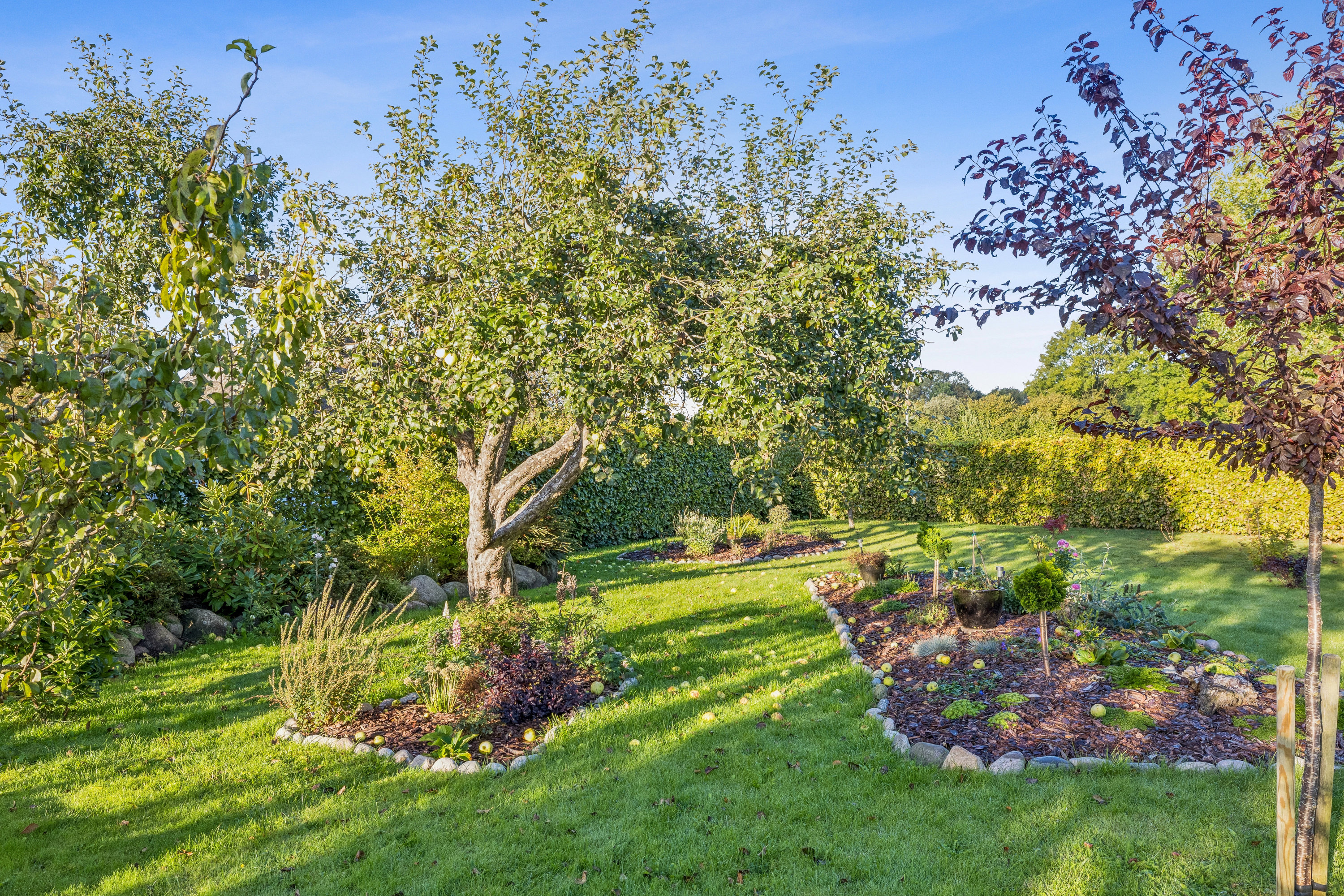 Fremhævet omgivelser billede i fuldskærmstilstand. Billede af Søllingevej 1, Sødinge, 5750 Ringe