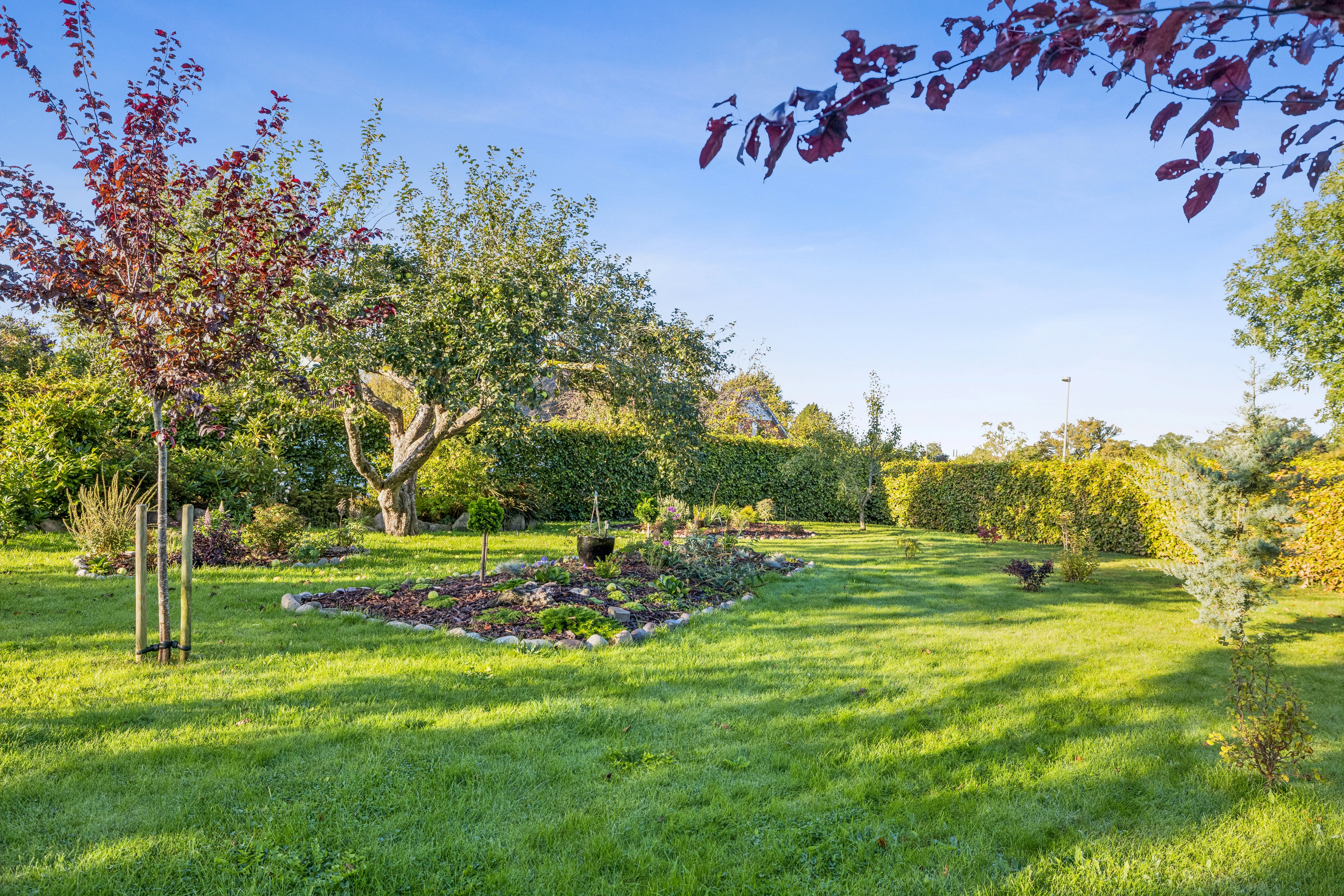 Fremhævet have billede i fuldskærmstilstand. Billede af Søllingevej 1, Sødinge, 5750 Ringe