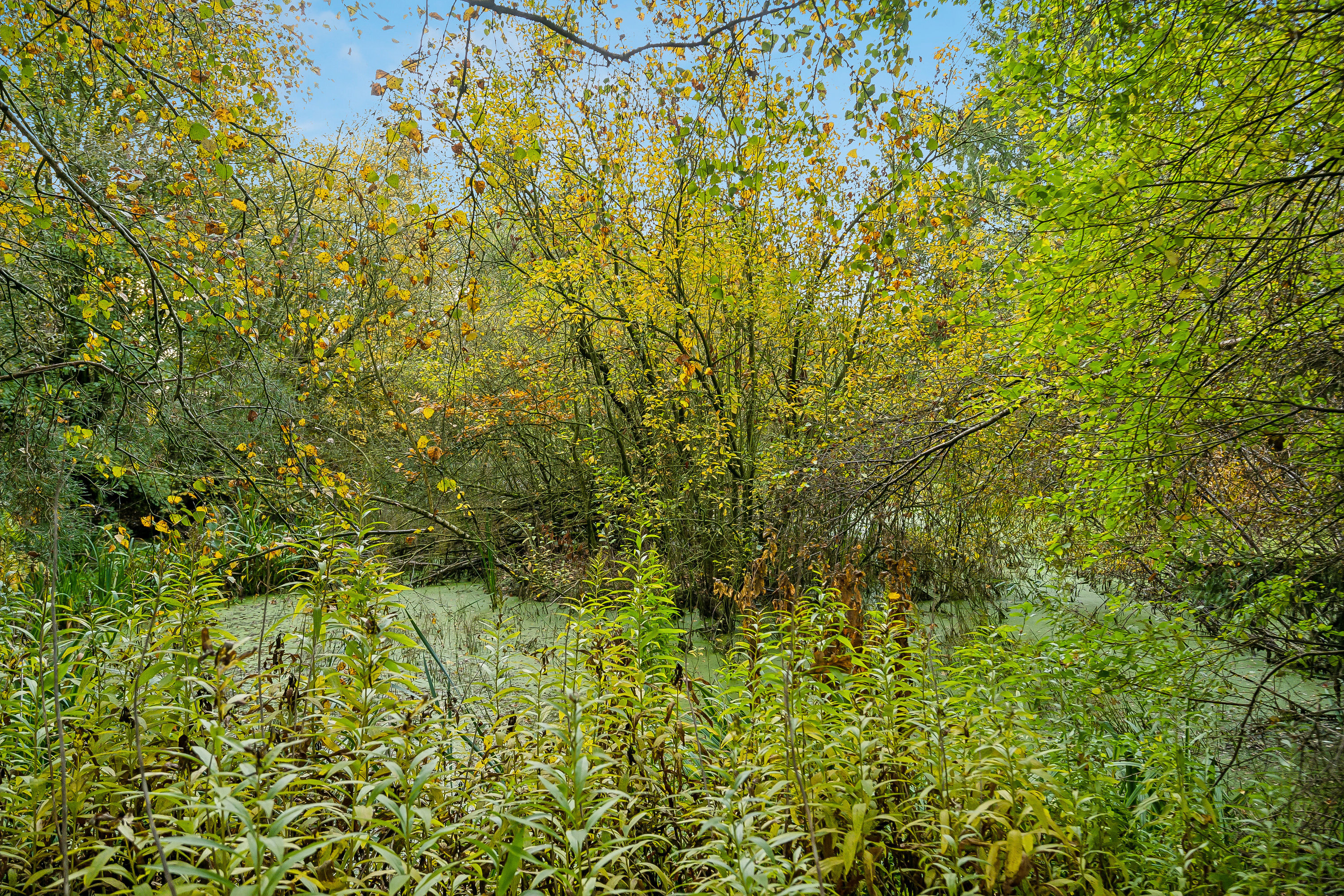 Fremhævet  billede i fuldskærmstilstand. Billede af Morildvej 259, 9830 Tårs