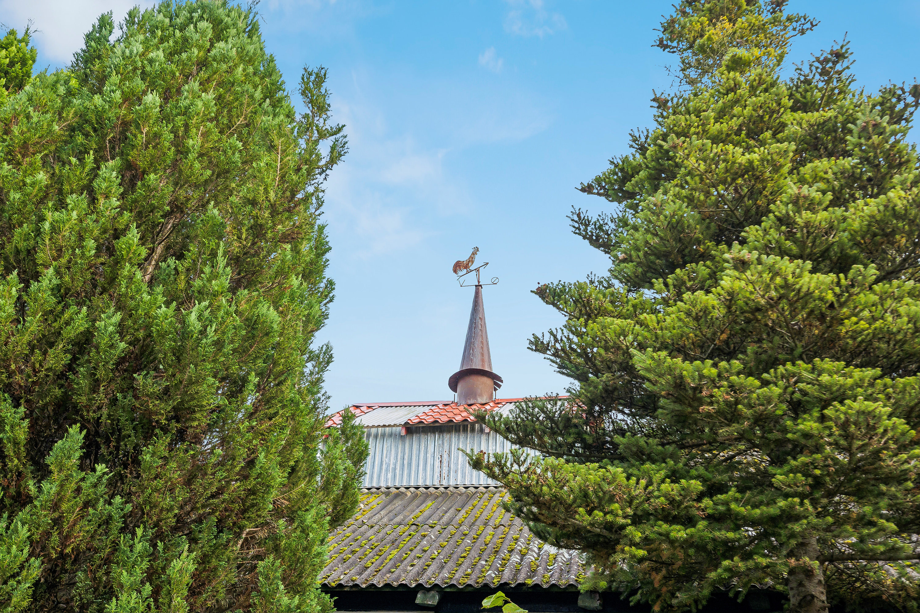 Fremhævet  billede i fuldskærmstilstand. Billede af Morildvej 259, 9830 Tårs