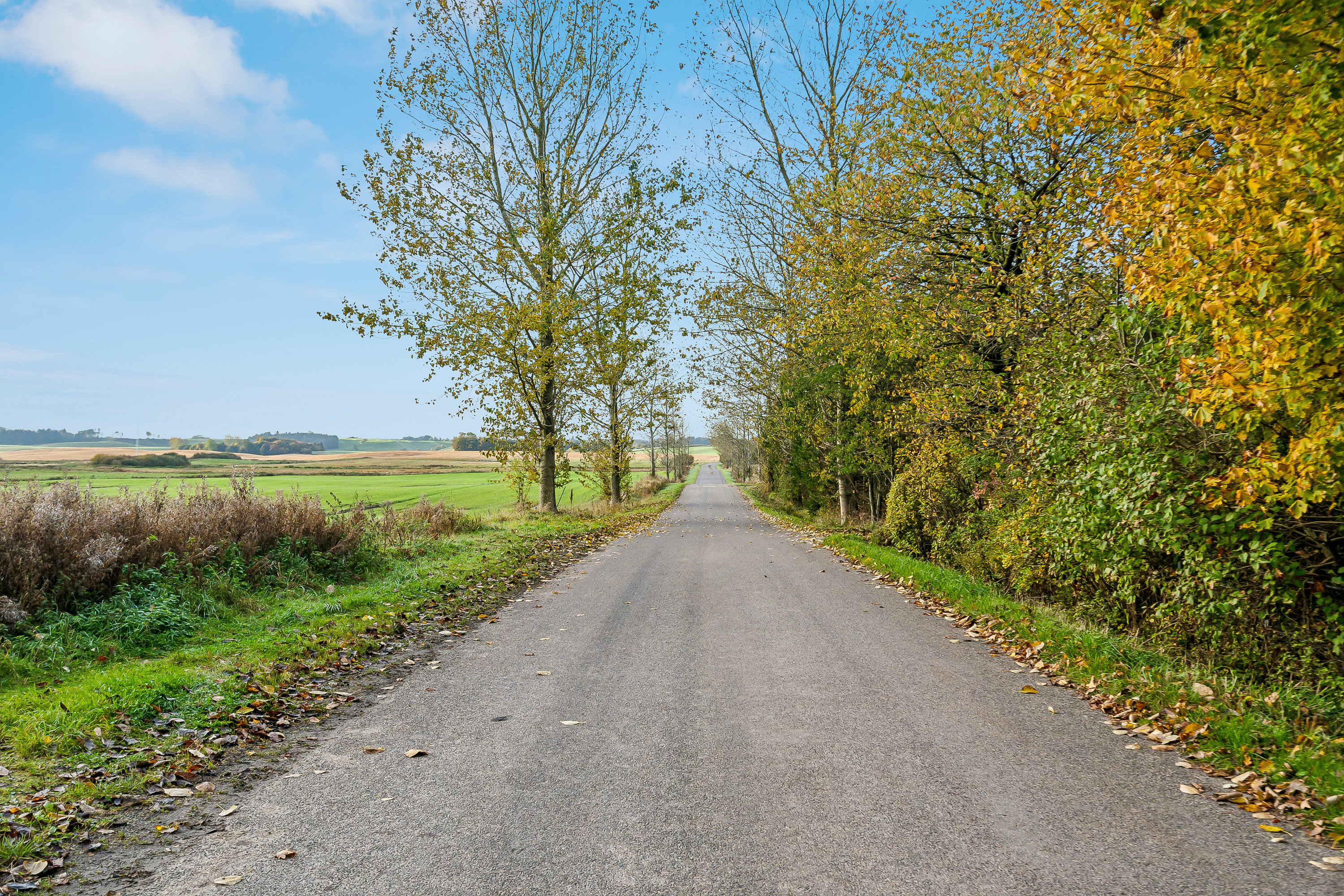Fremhævet  billede i fuldskærmstilstand. Billede af Morildvej 259, 9830 Tårs