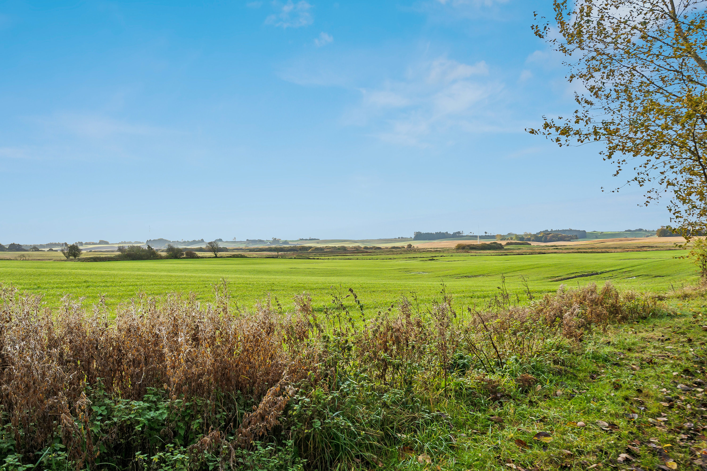 Fremhævet  billede i fuldskærmstilstand. Billede af Morildvej 259, 9830 Tårs