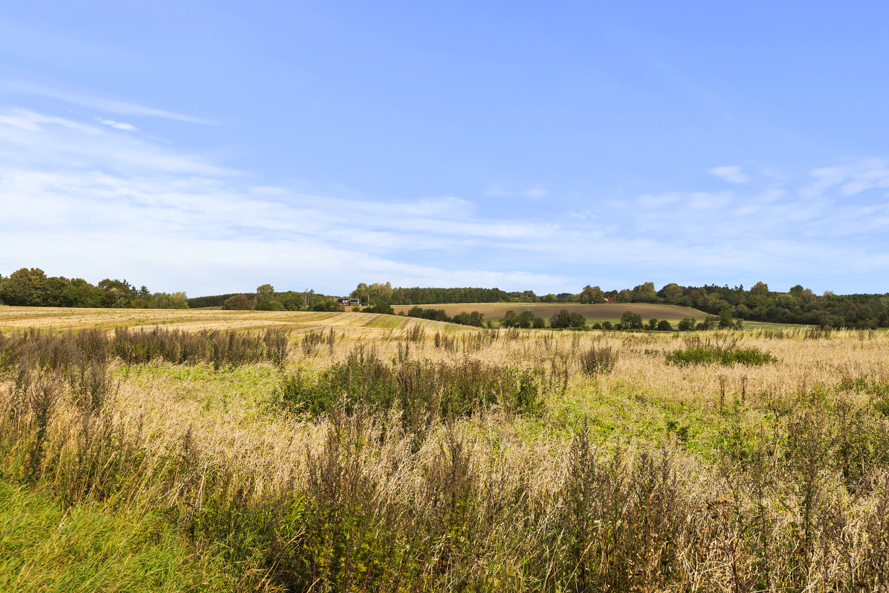 Fremhævet udsigt billede i fuldskærmstilstand. Billede af Gåsetoftevej 66, 4400 Kalundborg