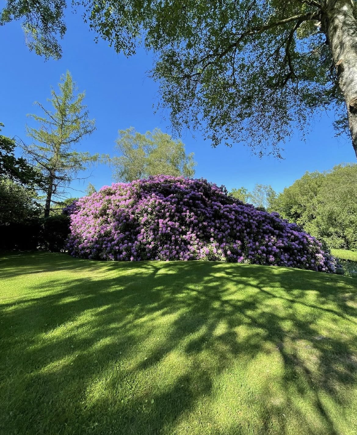 Fremhævet  billede i fuldskærmstilstand. Billede af Hovmosevej 19, Gadevang, 3400 Hillerød