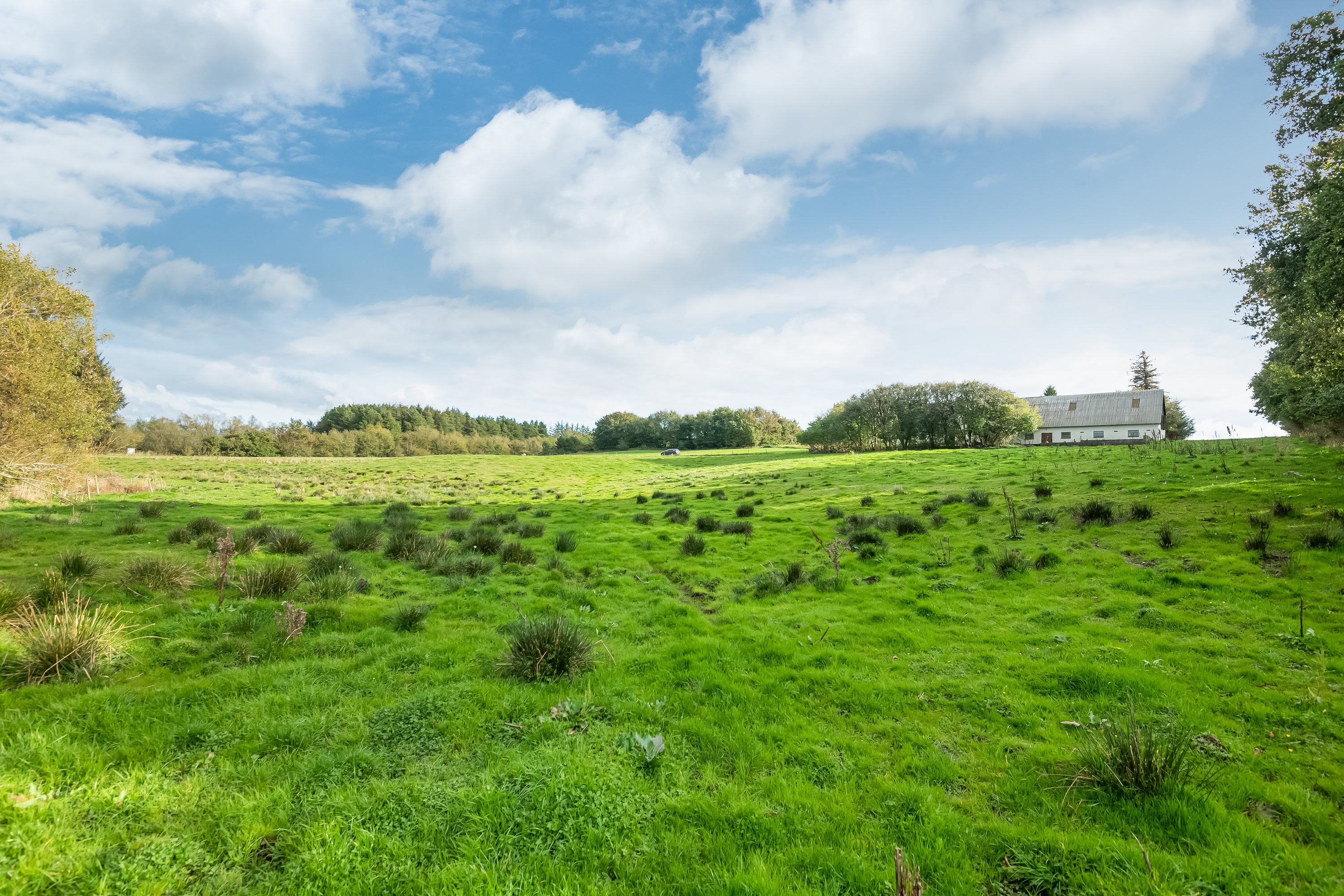 Fremhævet  billede i fuldskærmstilstand. Billede af Tangetvej 290, Ugilt, 9830 Tårs