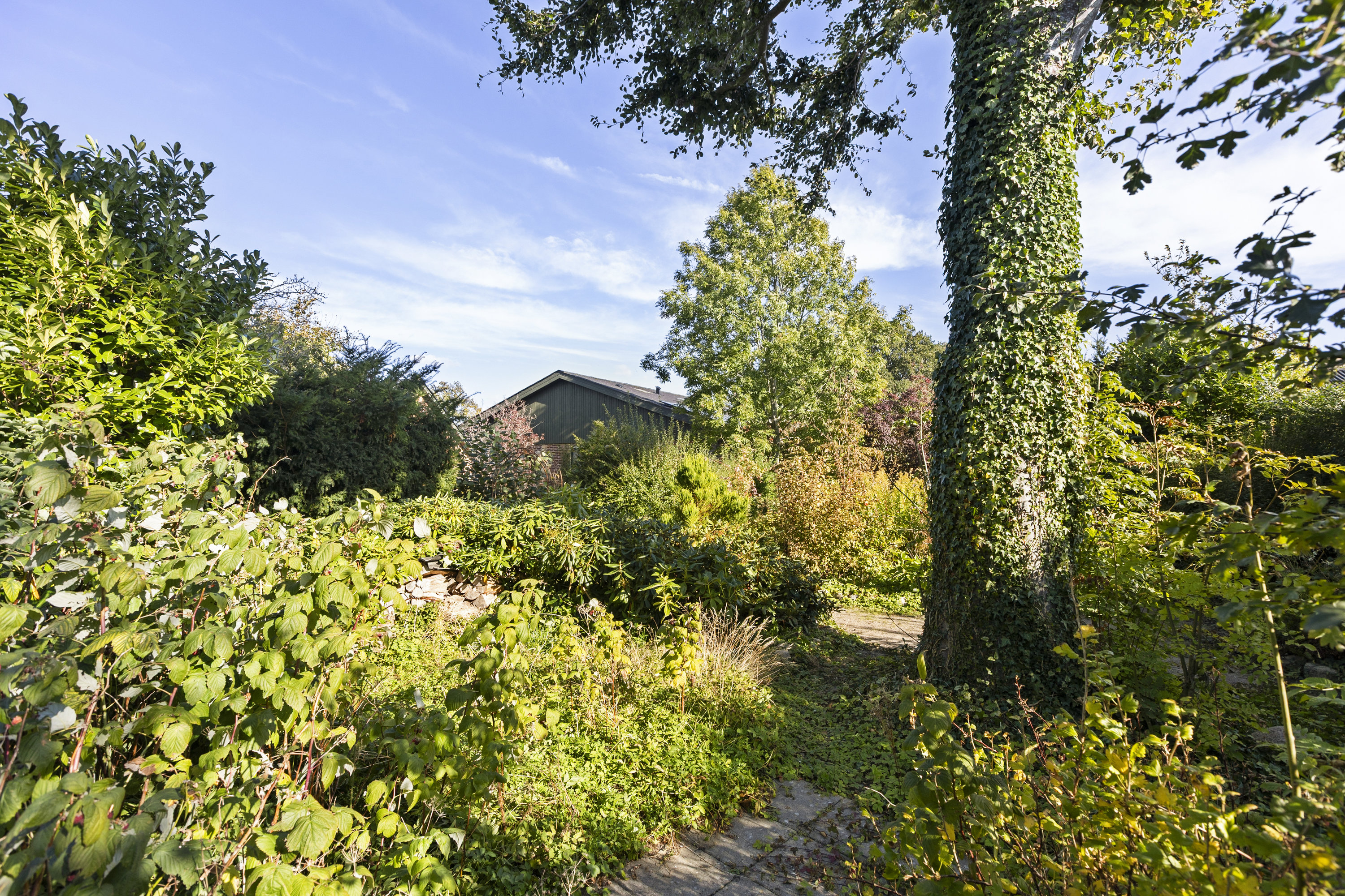 Fremhævet have billede i fuldskærmstilstand. Billede af Bøgevej 10, 4490 Jerslev Sjælland