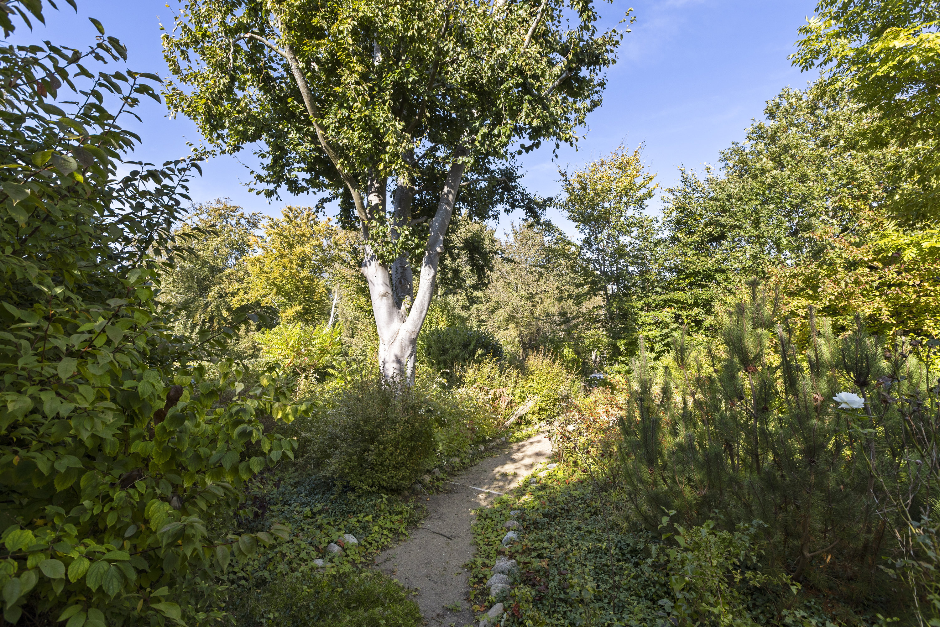 Fremhævet have billede i fuldskærmstilstand. Billede af Bøgevej 10, 4490 Jerslev Sjælland