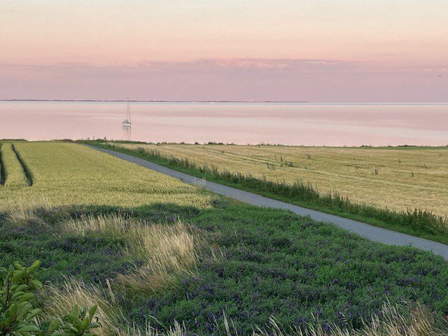 Fremhævet  billede i fuldskærmstilstand. Billede af Havsmarken 1, 5970 Ærøskøbing