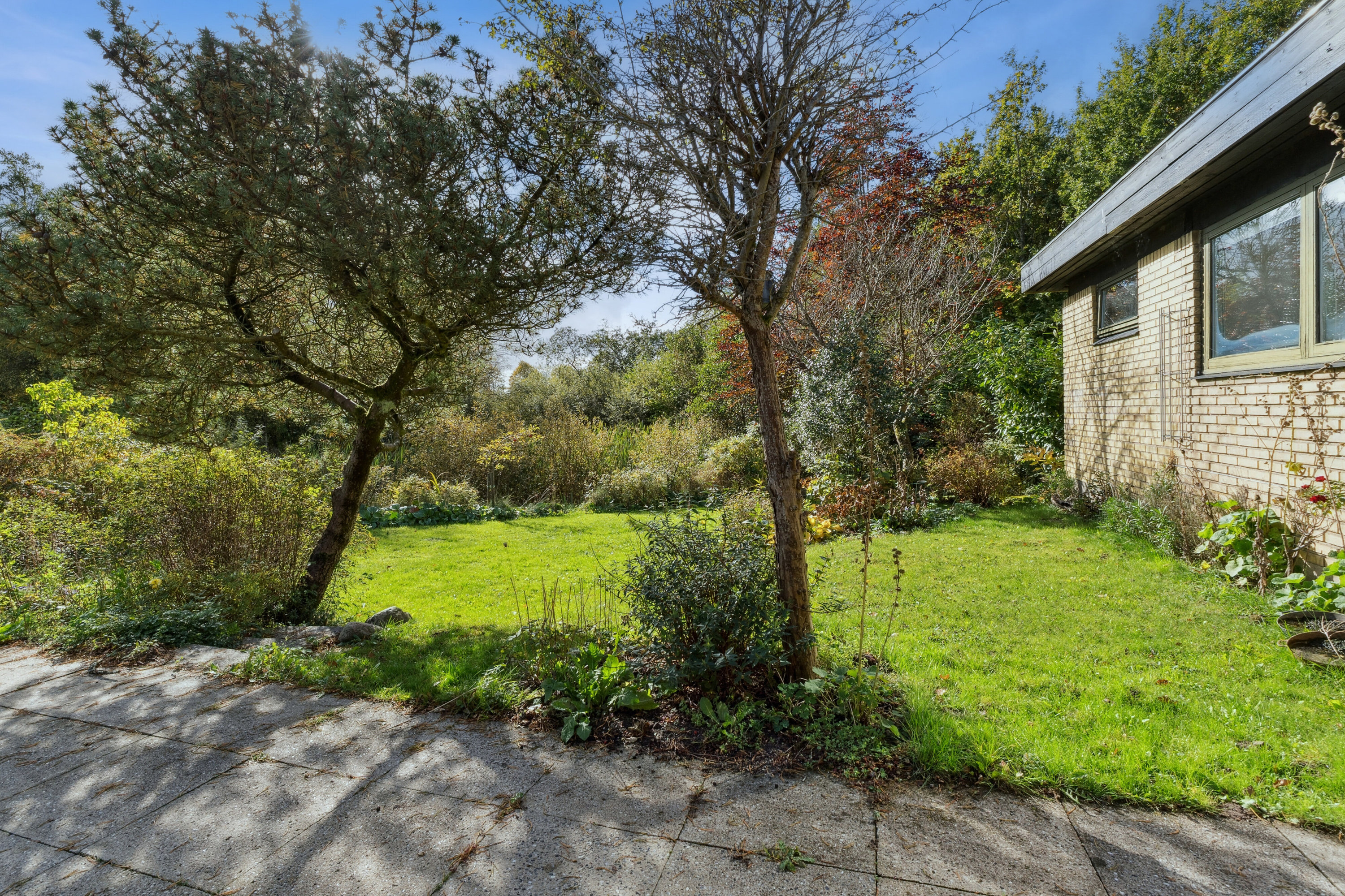 Miniaturebillede 2: have. Billede af Svanevej 16, Ny Sebberup, 8723 Løsning