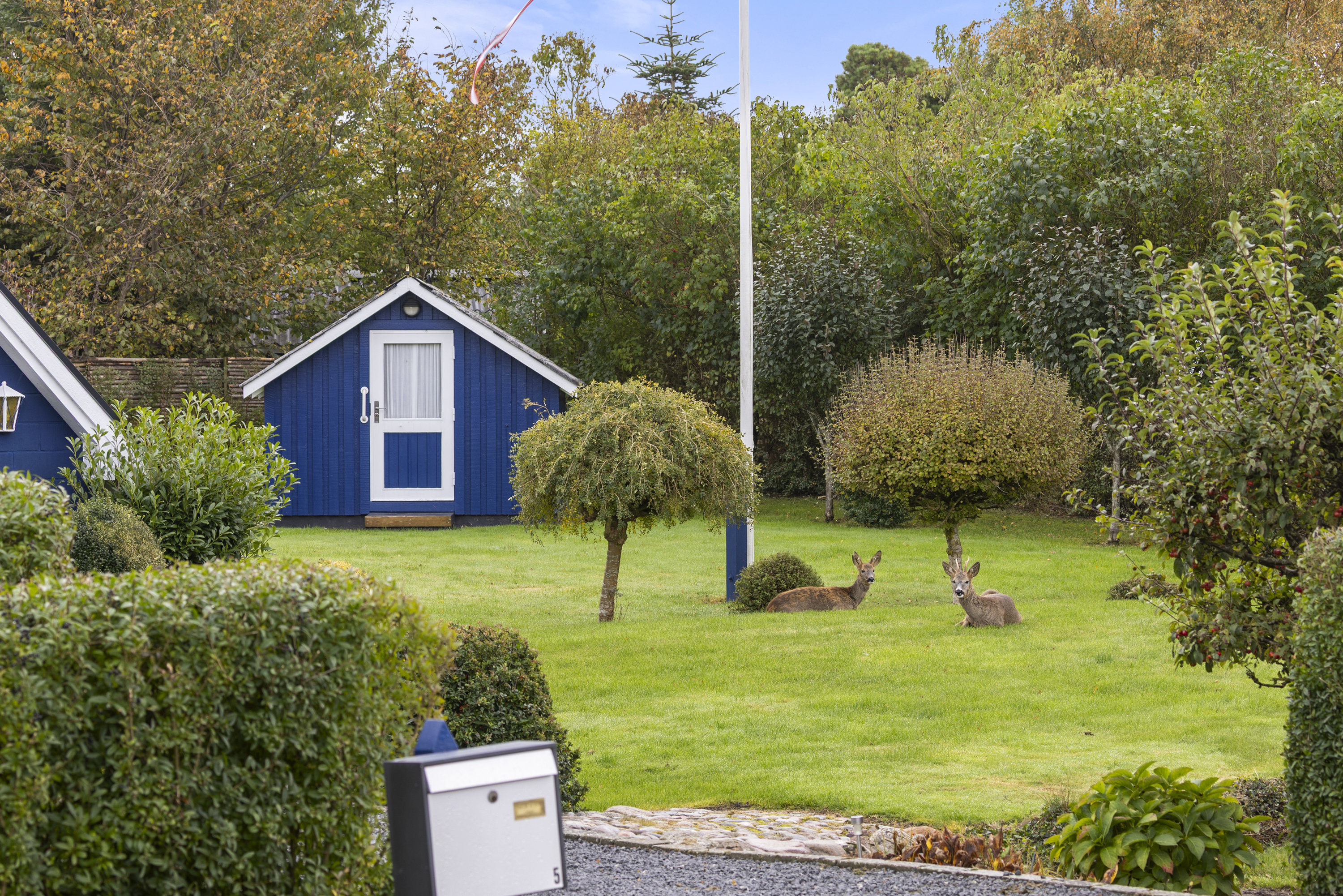 Miniaturebillede 1: have. Billede af Tornskadevej 5, Ll Kongsmark, 4200 Slagelse