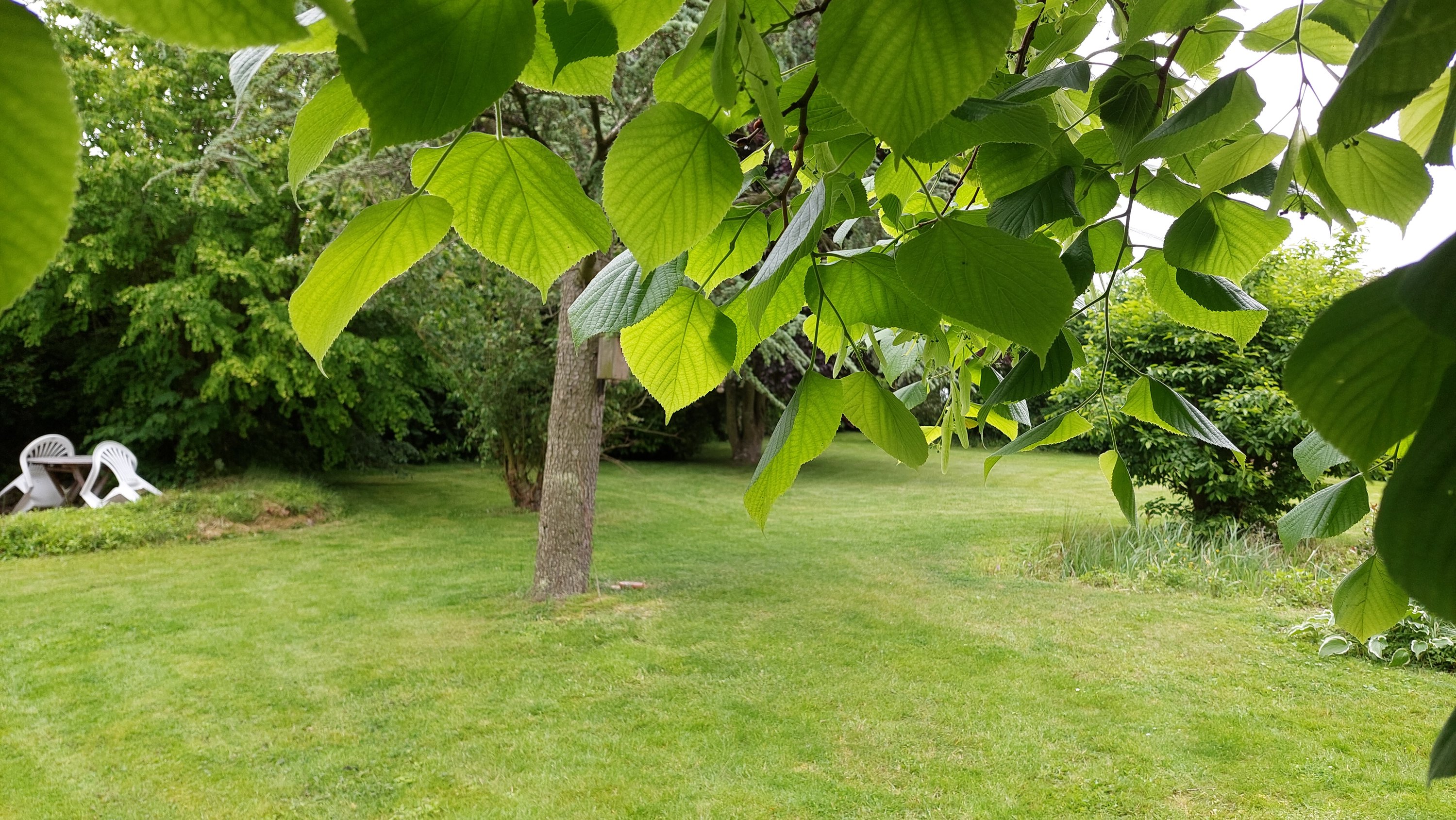 Fremhævet  billede i fuldskærmstilstand. Billede af Bøgetvej 14, Utterslev, 4913 Horslunde
