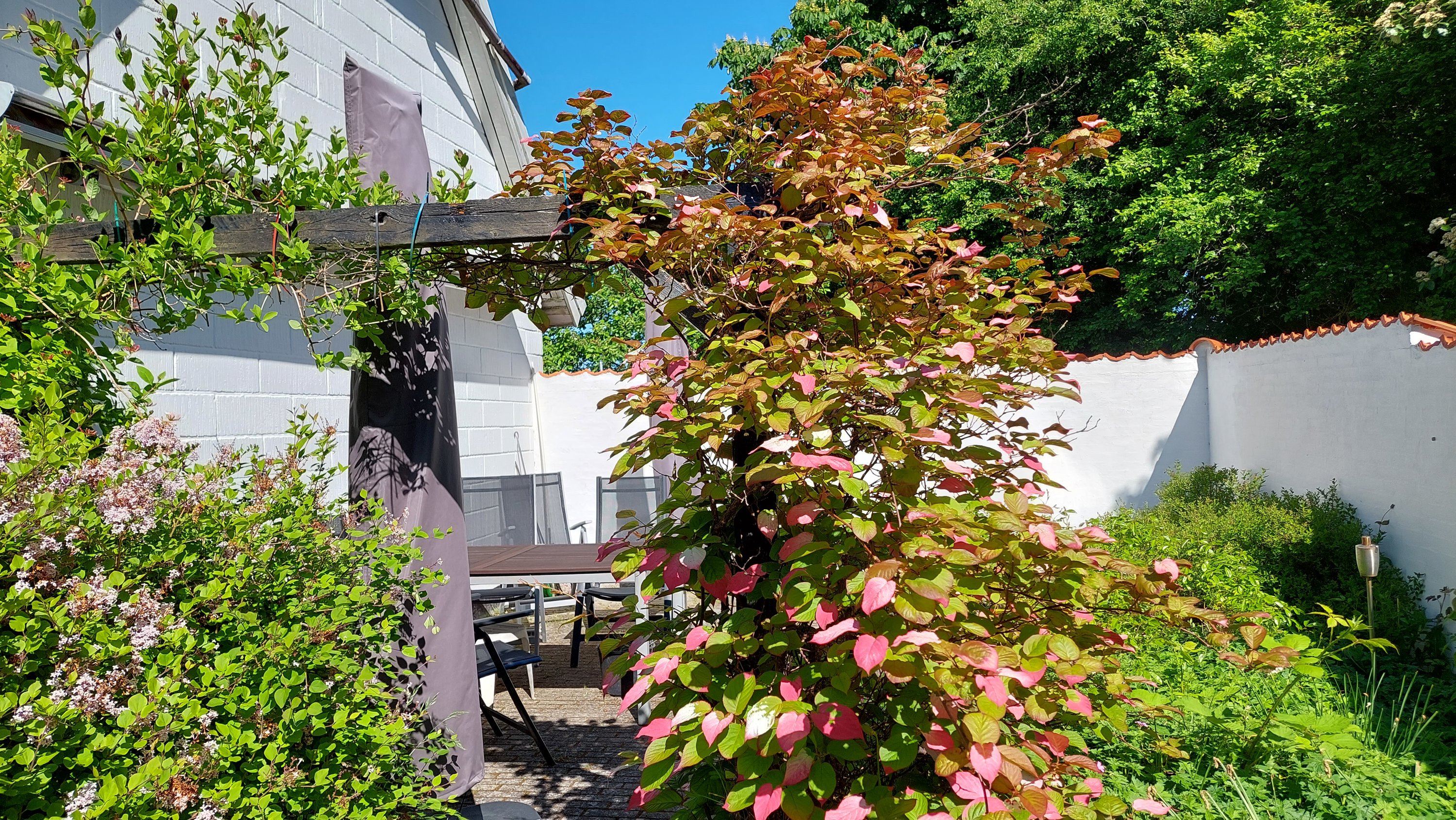 Fremhævet  billede i fuldskærmstilstand. Billede af Bøgetvej 14, Utterslev, 4913 Horslunde