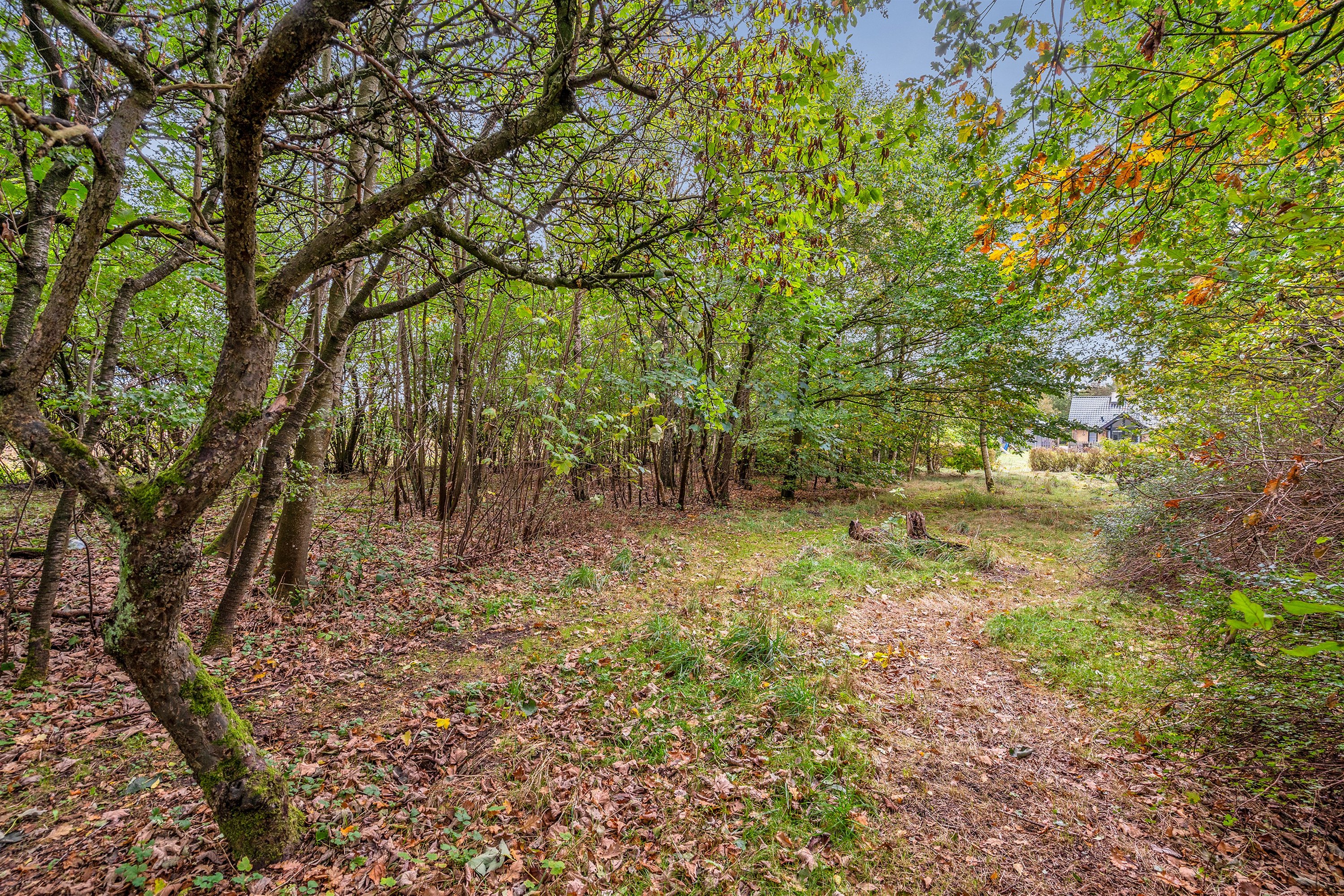 Fremhævet ejendommen billede i fuldskærmstilstand. Billede af Løvlundvej 2, 7190 Billund