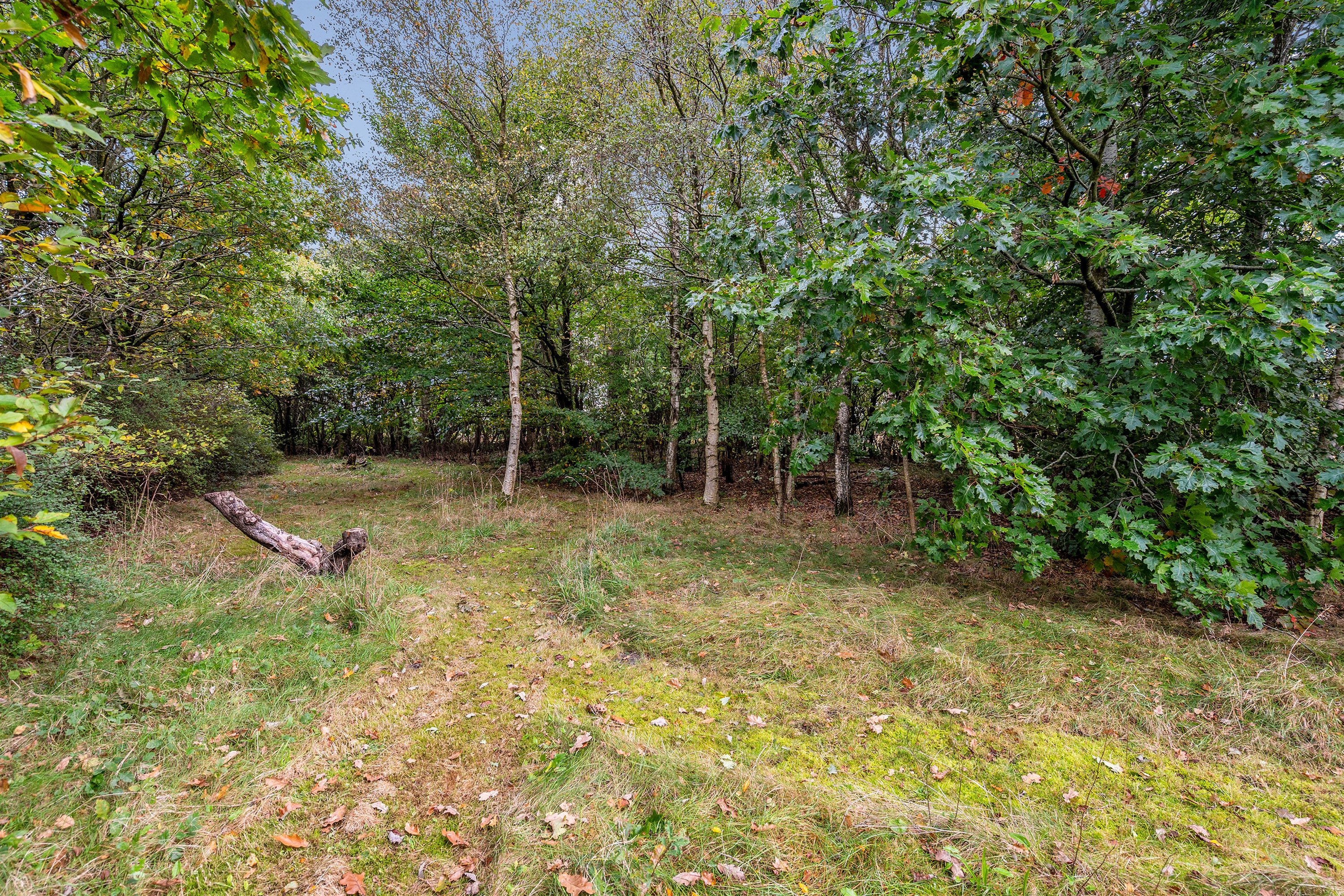 Fremhævet ejendommen billede i fuldskærmstilstand. Billede af Løvlundvej 2, 7190 Billund