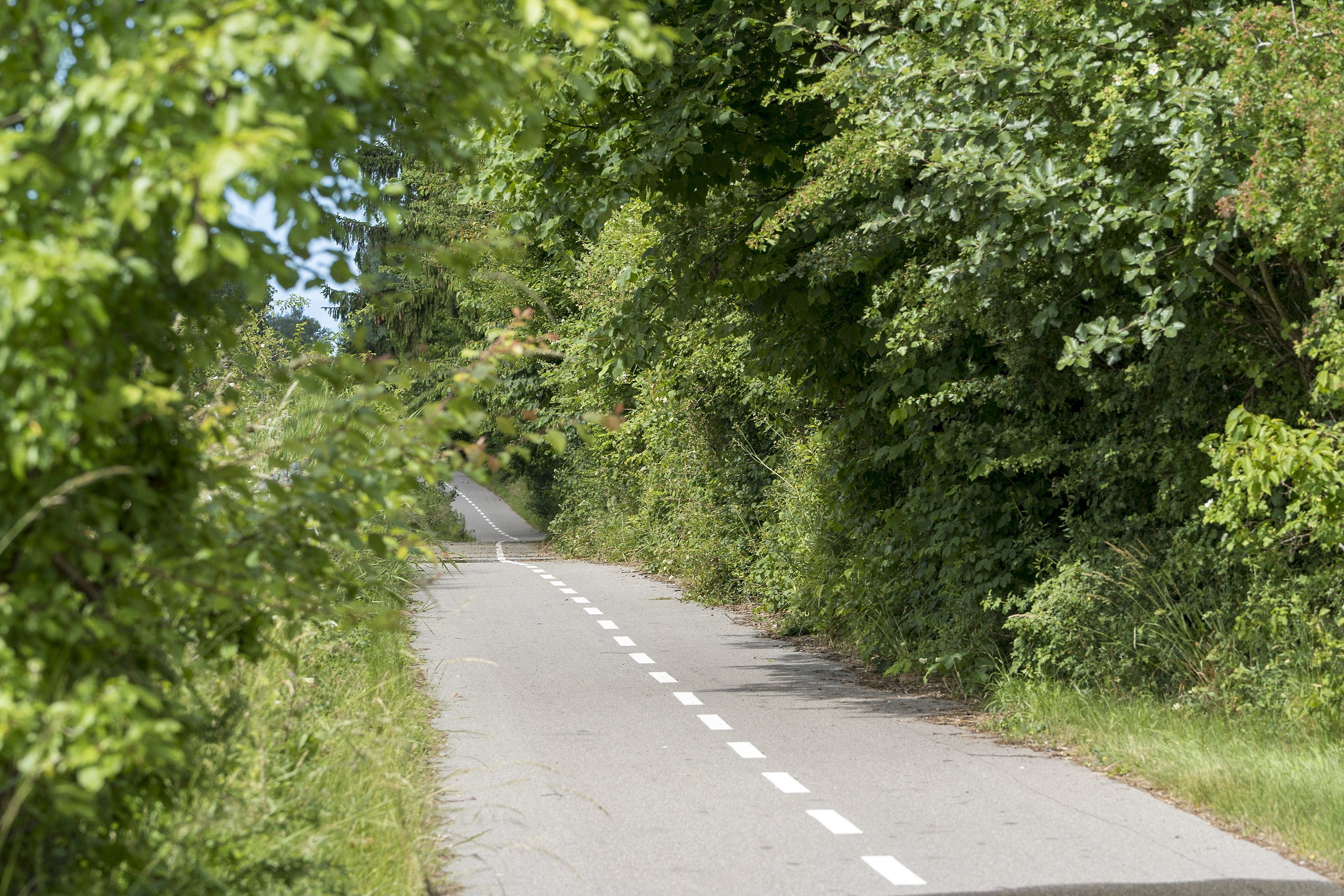 Fremhævet  billede i fuldskærmstilstand. Billede af Tisvildesvinget 11, 3220 Tisvildeleje