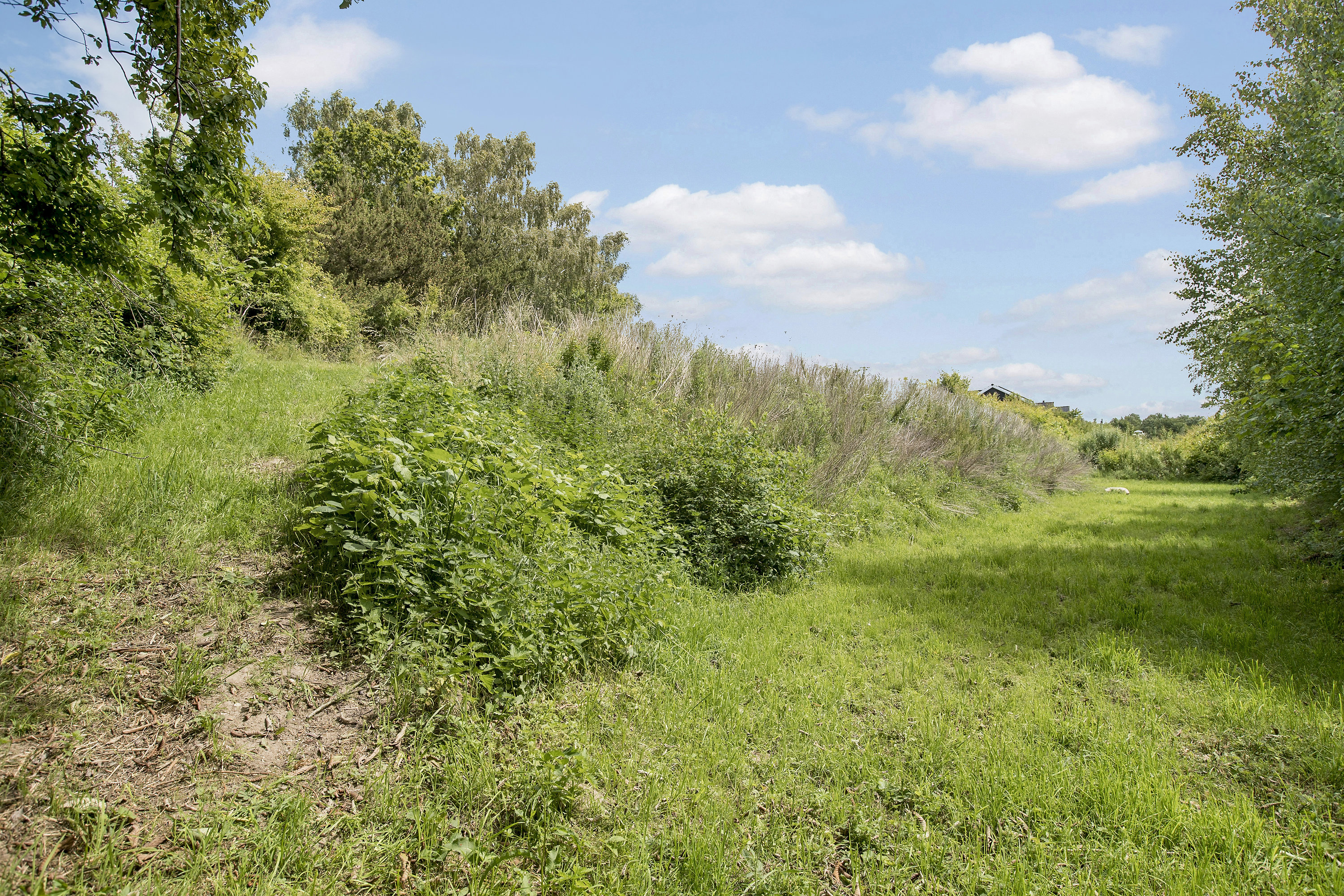 Fremhævet  billede i fuldskærmstilstand. Billede af Tisvildesvinget 11, 3220 Tisvildeleje