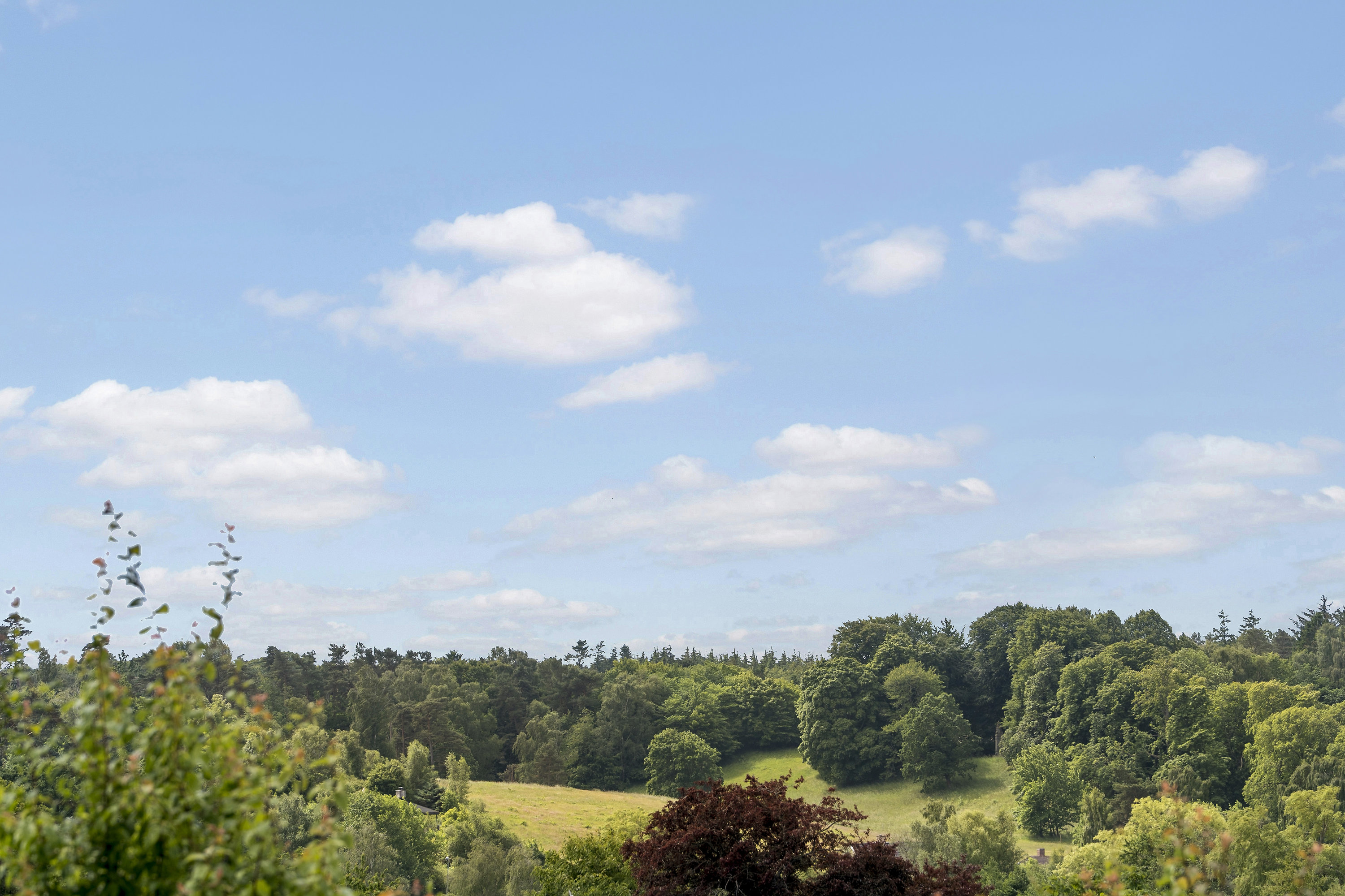 Fremhævet  billede i fuldskærmstilstand. Billede af Tisvildesvinget 11, 3220 Tisvildeleje