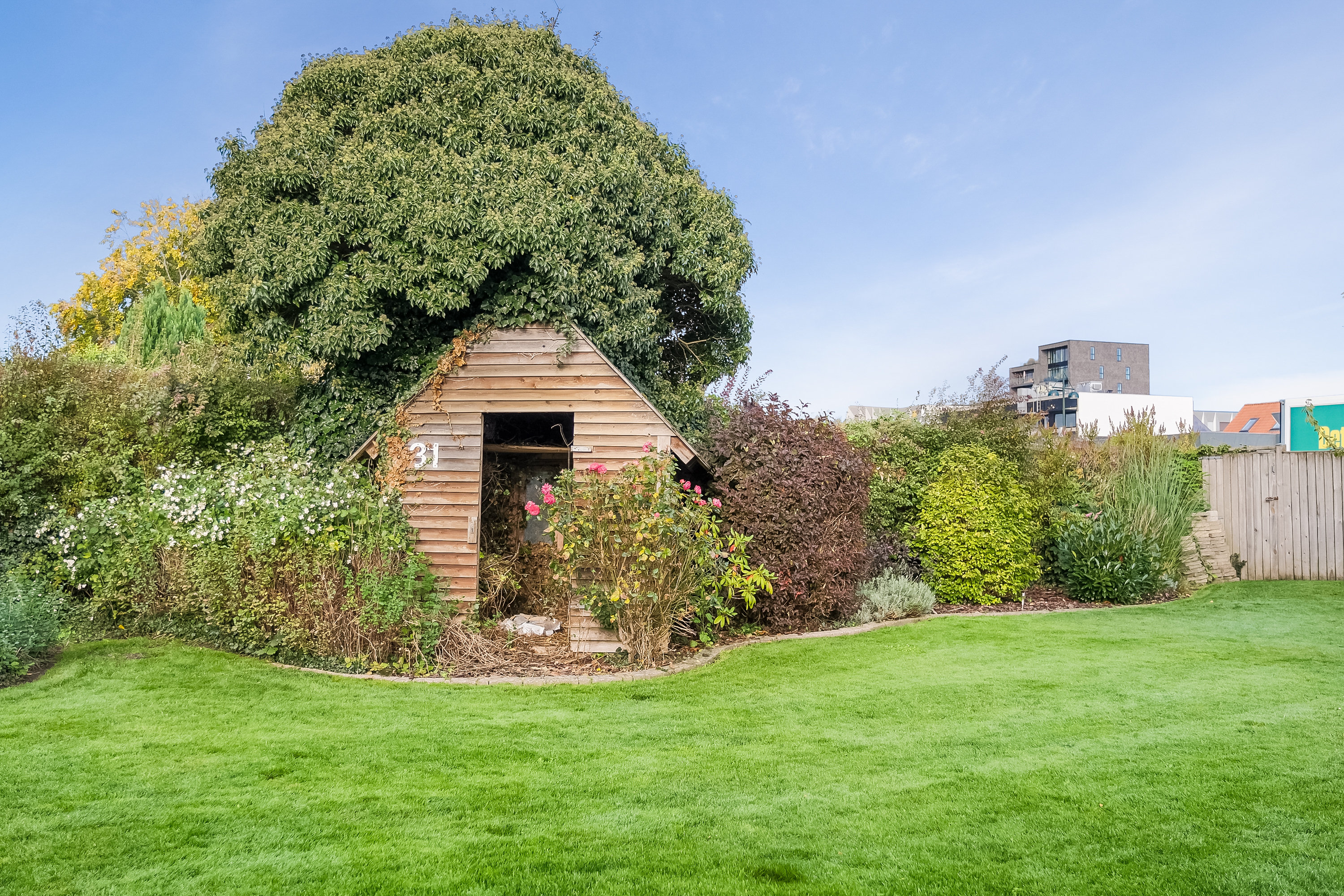 Fremhævet have billede i fuldskærmstilstand. Billede af Elmegade 31, 5500 Middelfart