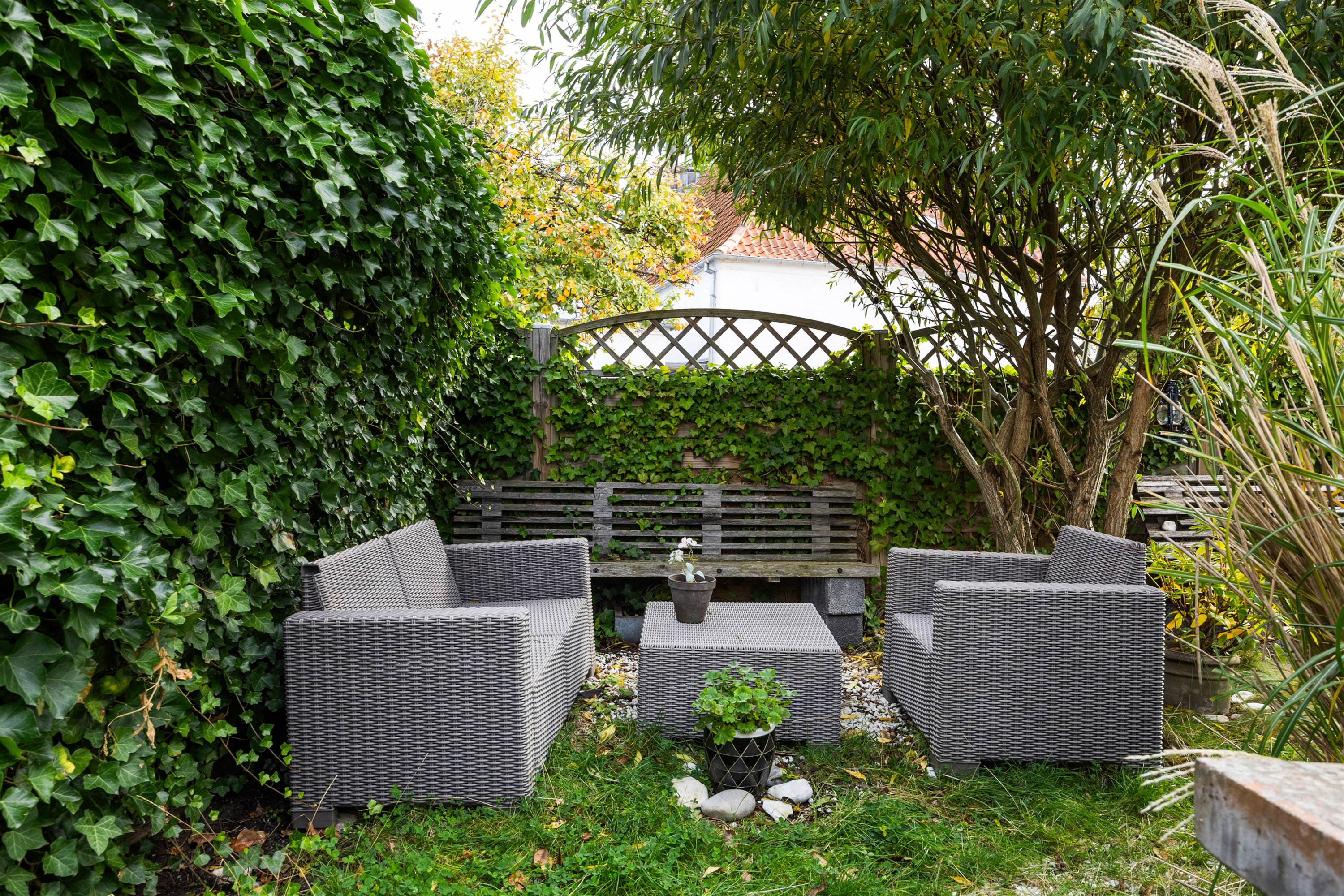 Fremhævet have billede i fuldskærmstilstand. Billede af Gilleleje Hovedgade 41A, 3250 Gilleleje