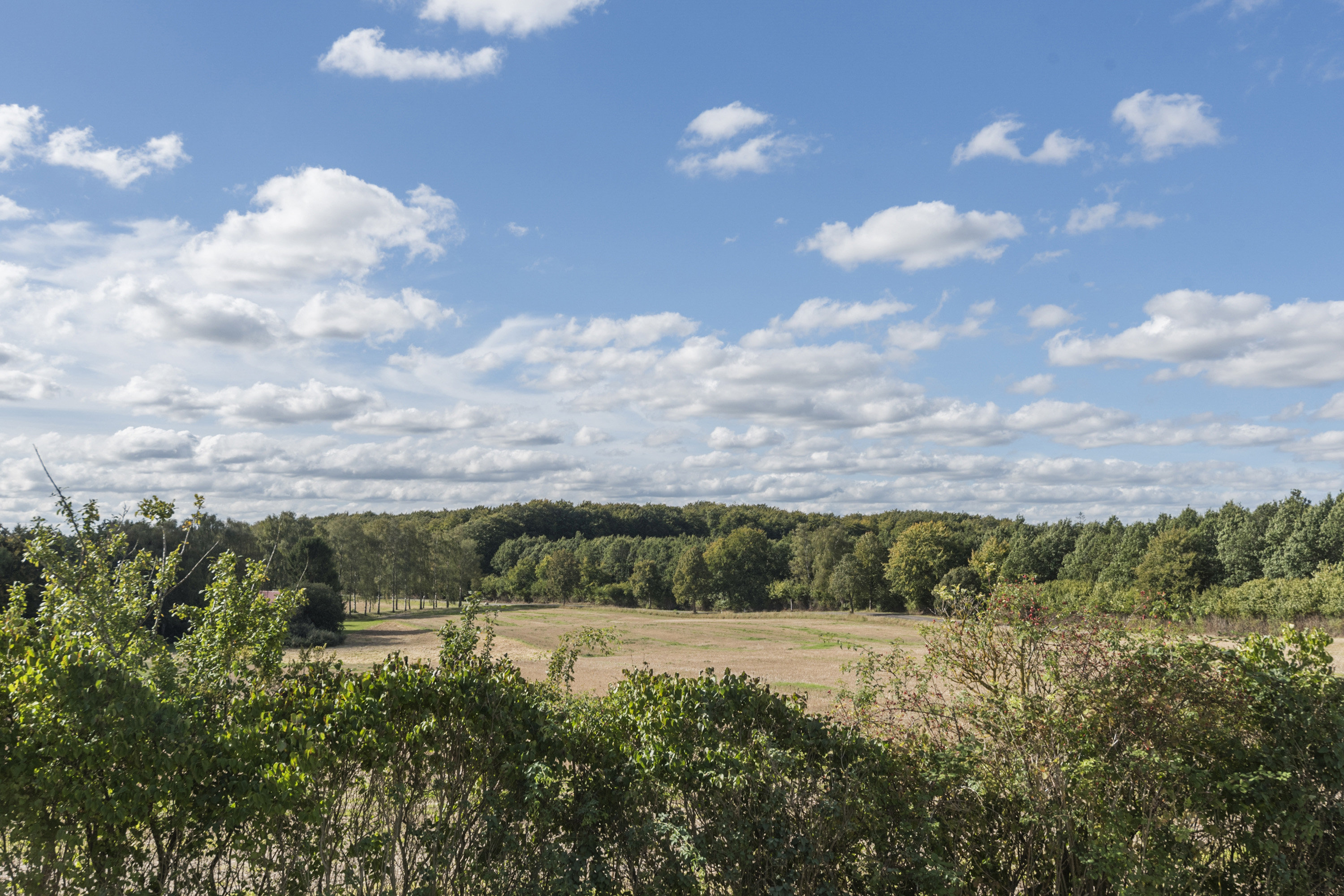 Fremhævet område billede i fuldskærmstilstand. Billede af Skovbovej 21, Himlingøje, 4652 Hårlev