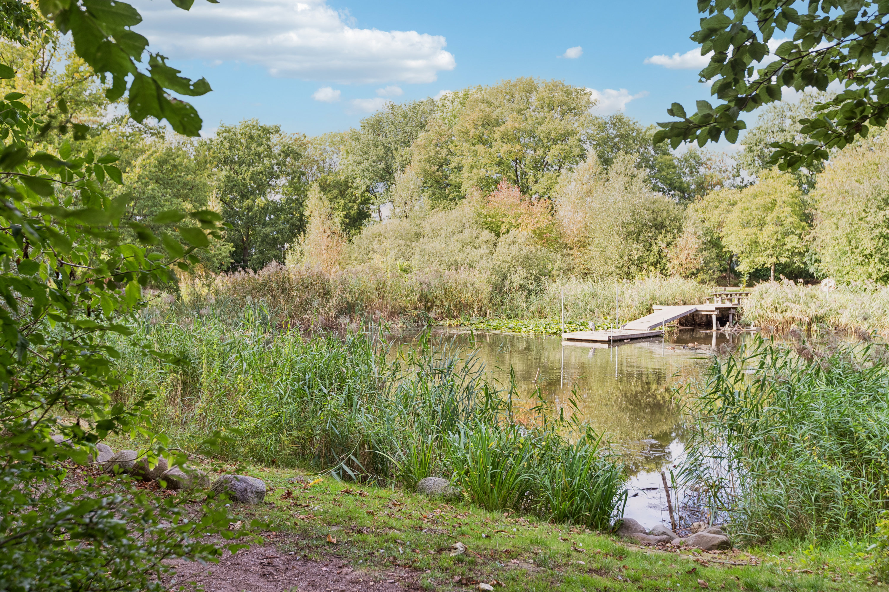 Fremhævet have billede i fuldskærmstilstand. Billede af Gyldenvang Alle 38, 2770 Kastrup