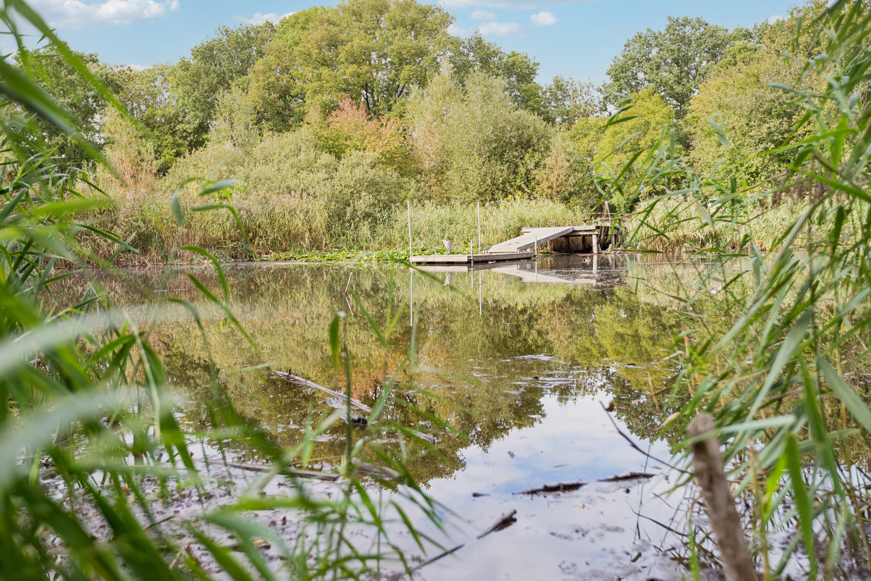 Fremhævet have billede i fuldskærmstilstand. Billede af Gyldenvang Alle 38, 2770 Kastrup