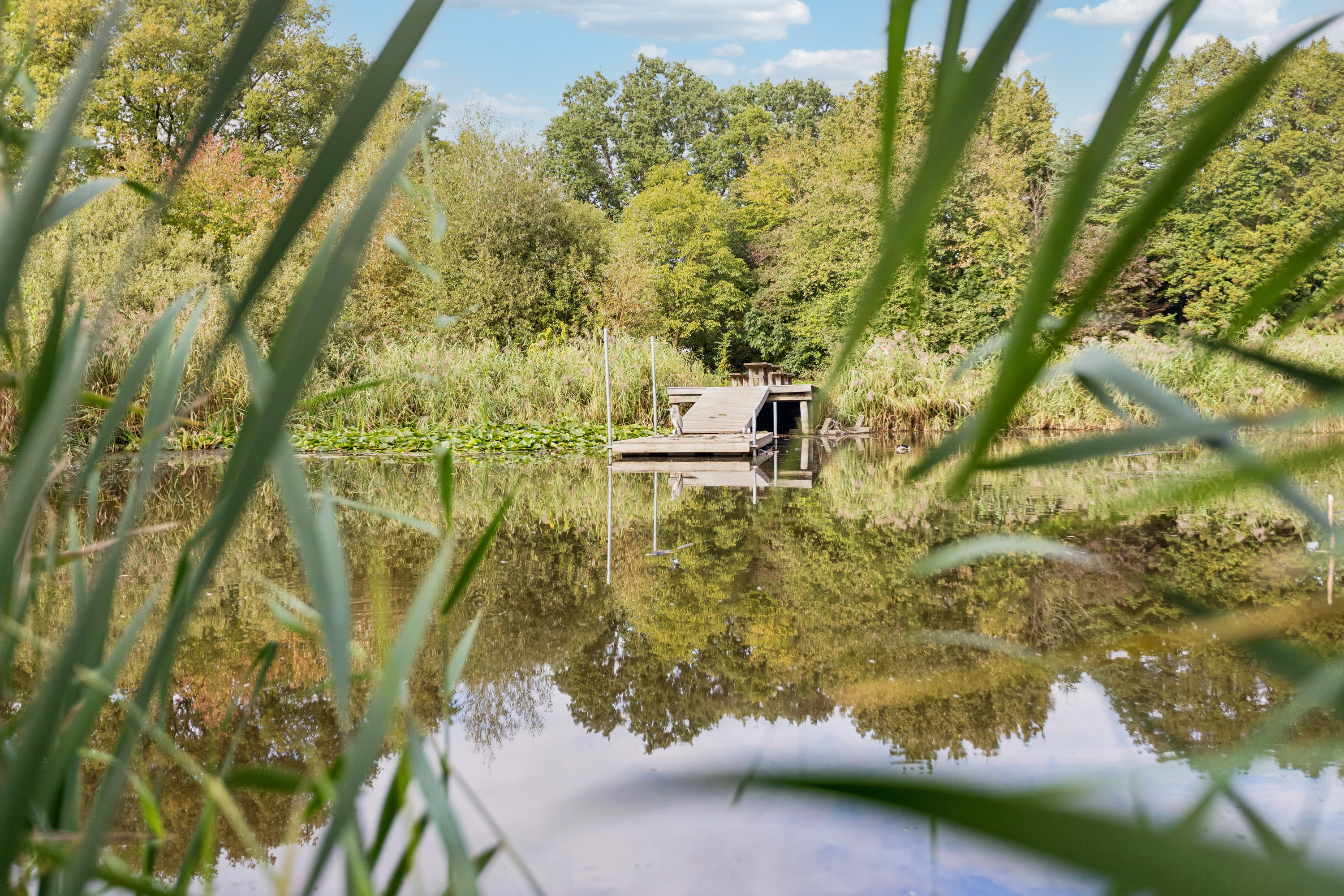 Fremhævet luftfoto billede i fuldskærmstilstand. Billede af Gyldenvang Alle 38, 2770 Kastrup