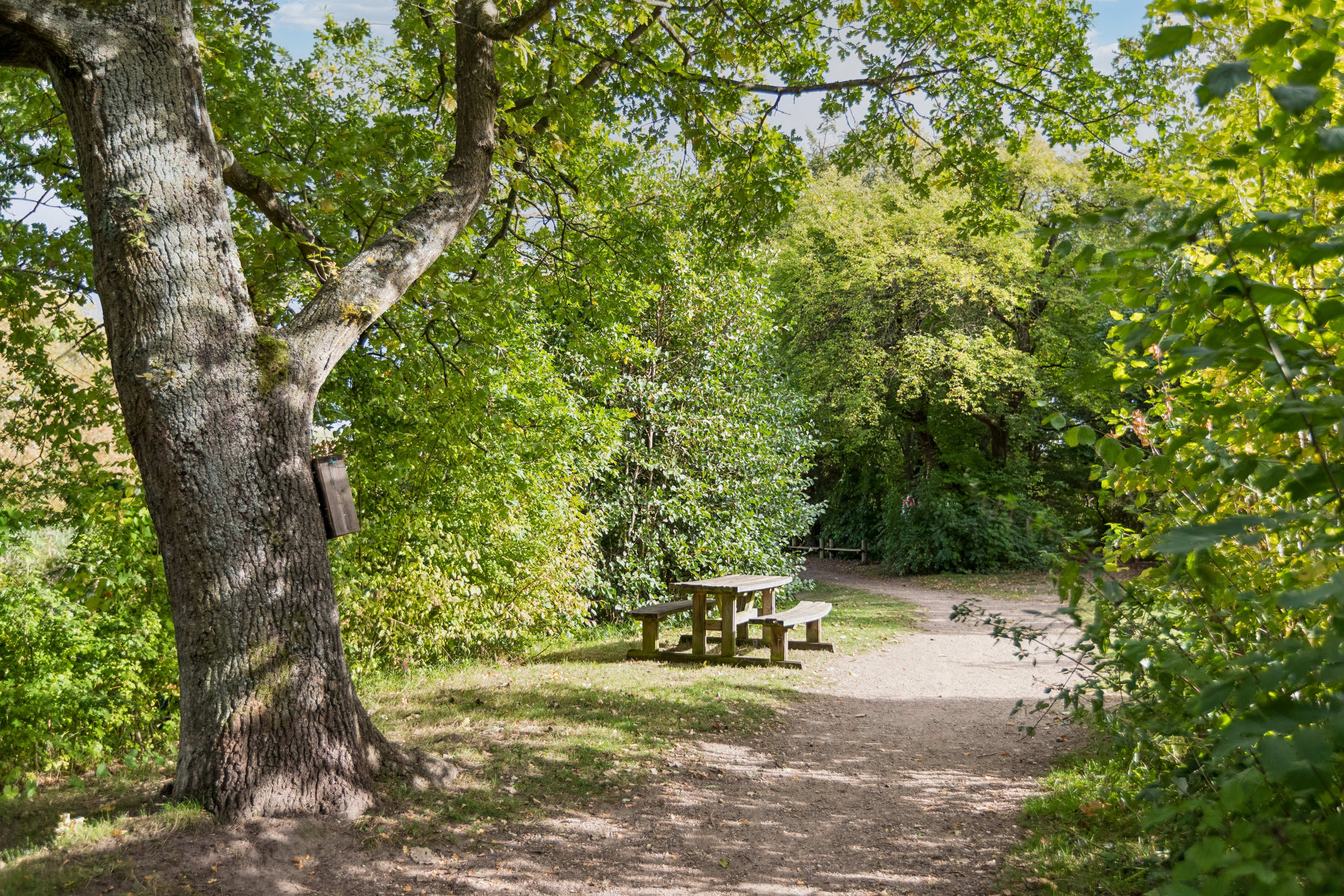Fremhævet have billede i fuldskærmstilstand. Billede af Gyldenvang Alle 38, 2770 Kastrup