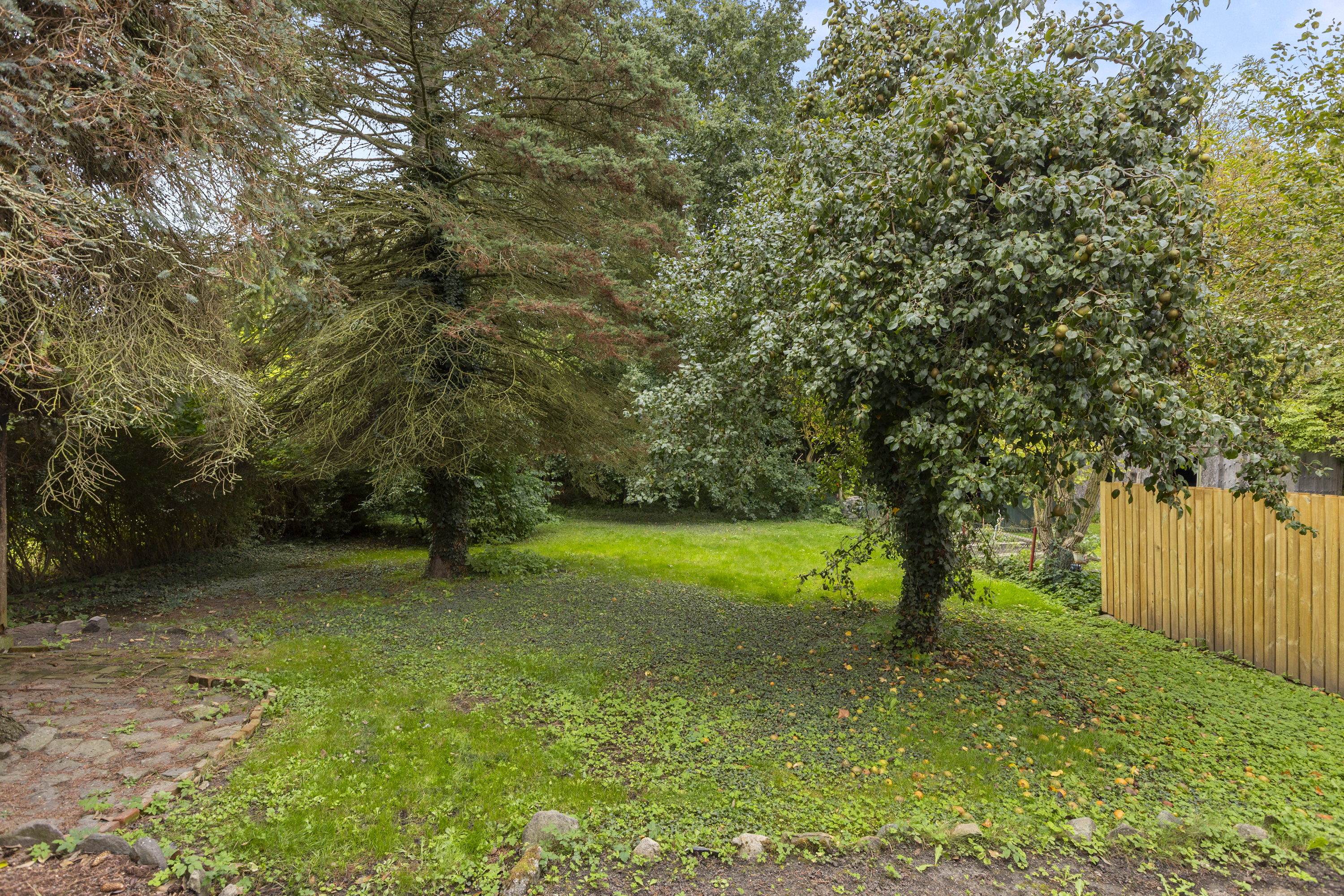 Fremhævet have billede i fuldskærmstilstand. Billede af Tårnborgvej 37, 4220 Korsør