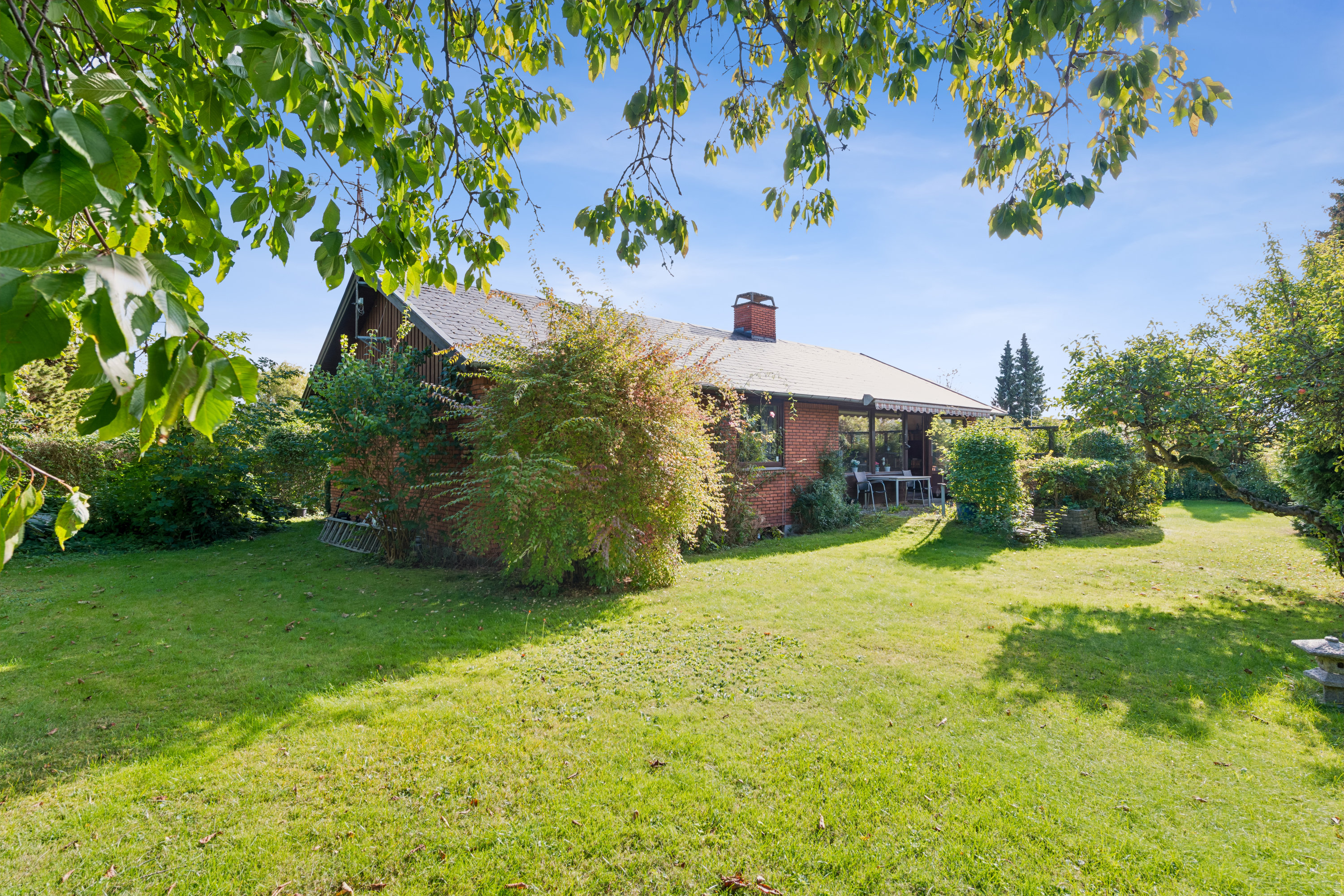 Fremhævet have billede i fuldskærmstilstand. Billede af Dorphs Alle 51, 2630 Taastrup