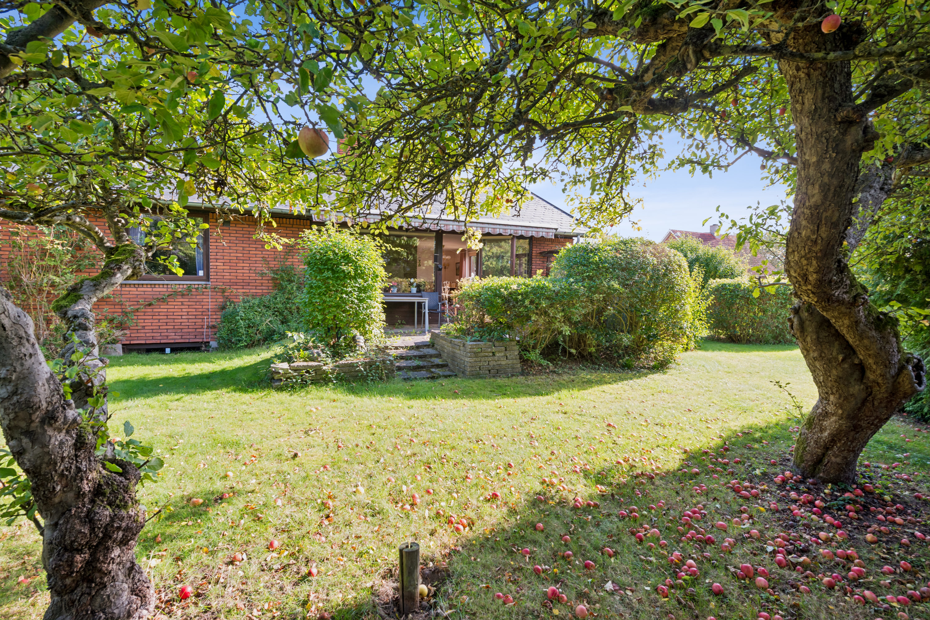 Fremhævet have billede i fuldskærmstilstand. Billede af Dorphs Alle 51, 2630 Taastrup