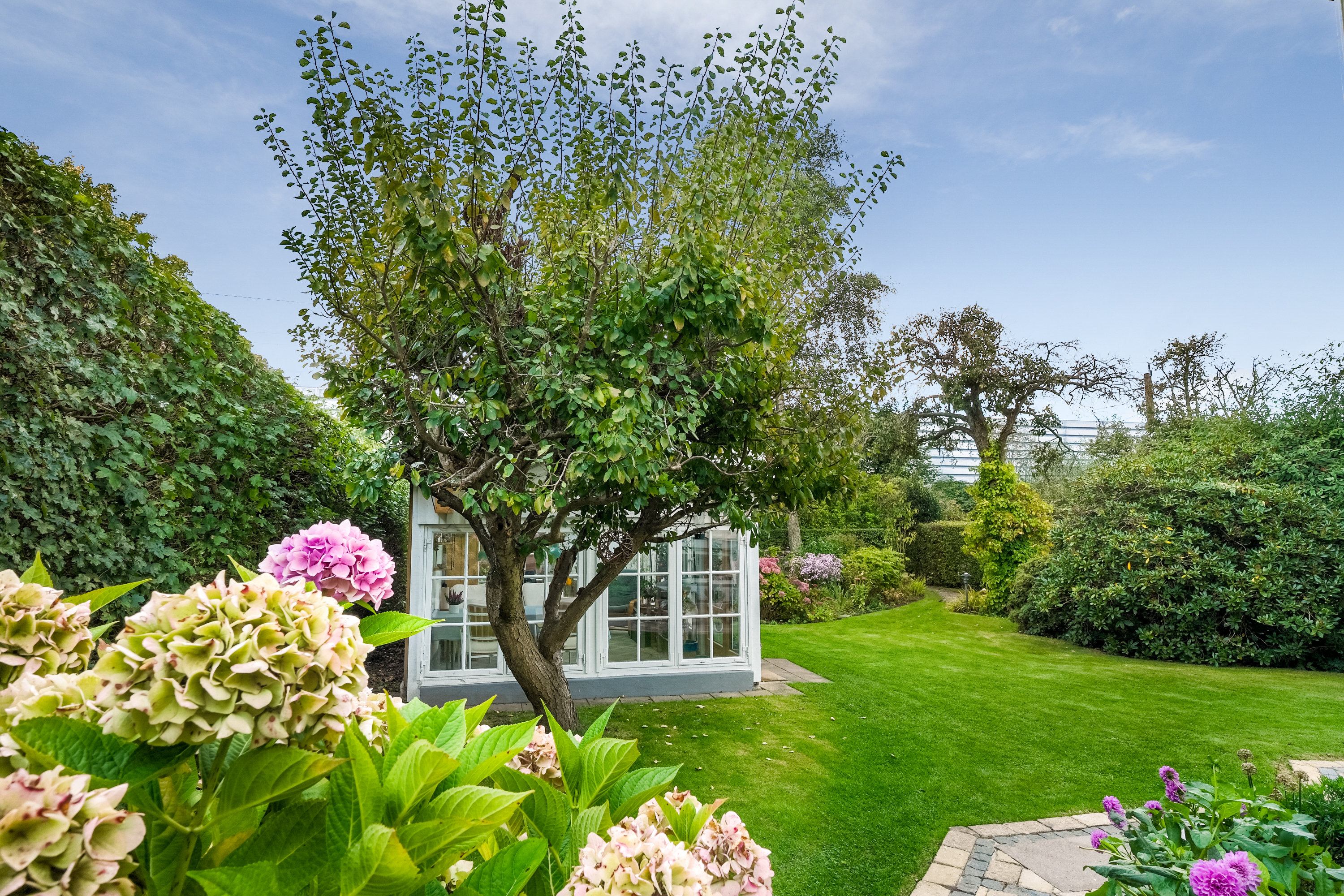 Fremhævet have billede i fuldskærmstilstand. Billede af Ny Møllevej 21, 5500 Middelfart