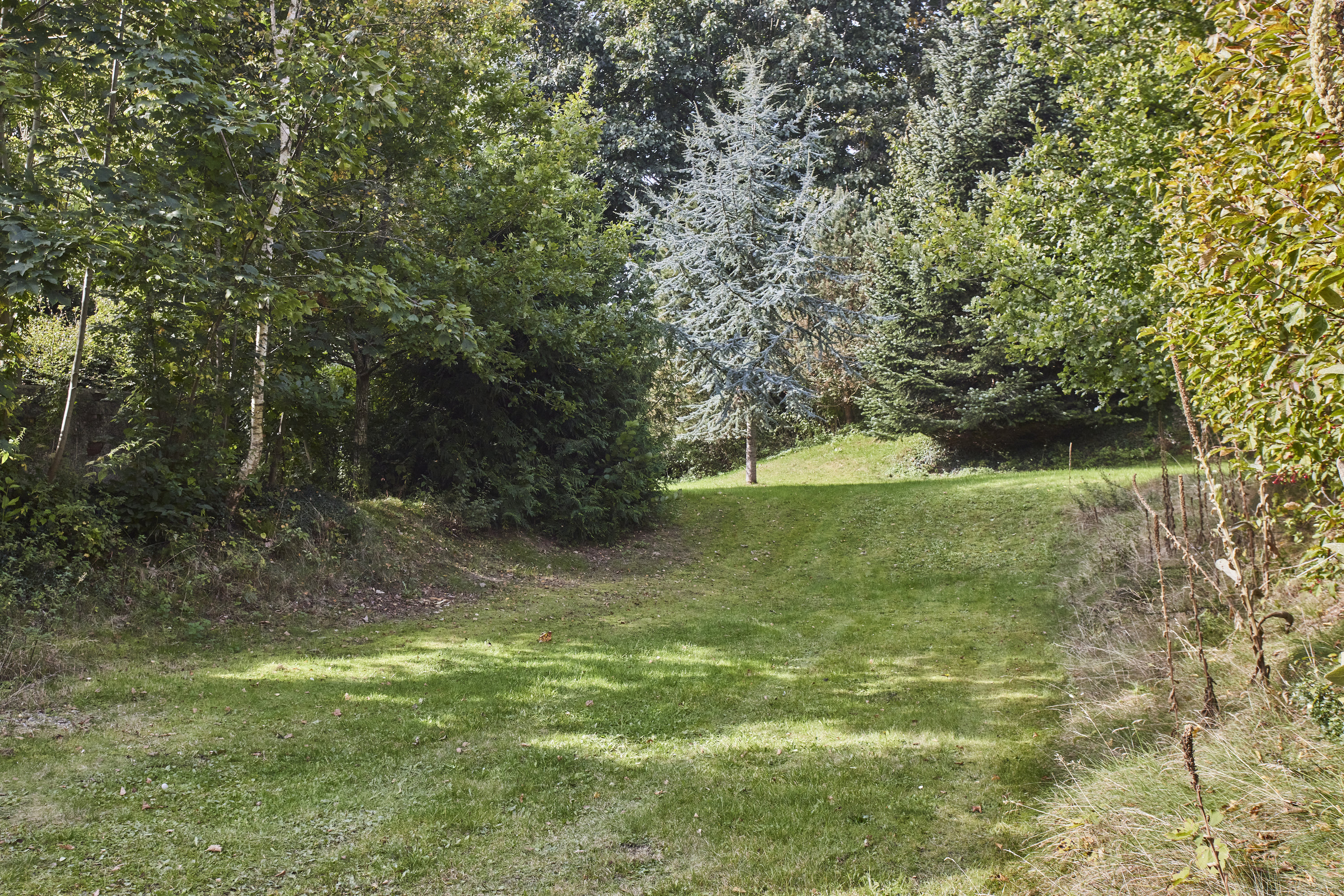 Fremhævet andet billede i fuldskærmstilstand. Billede af Sjørup Mark 3, Vroue, 8800 Viborg