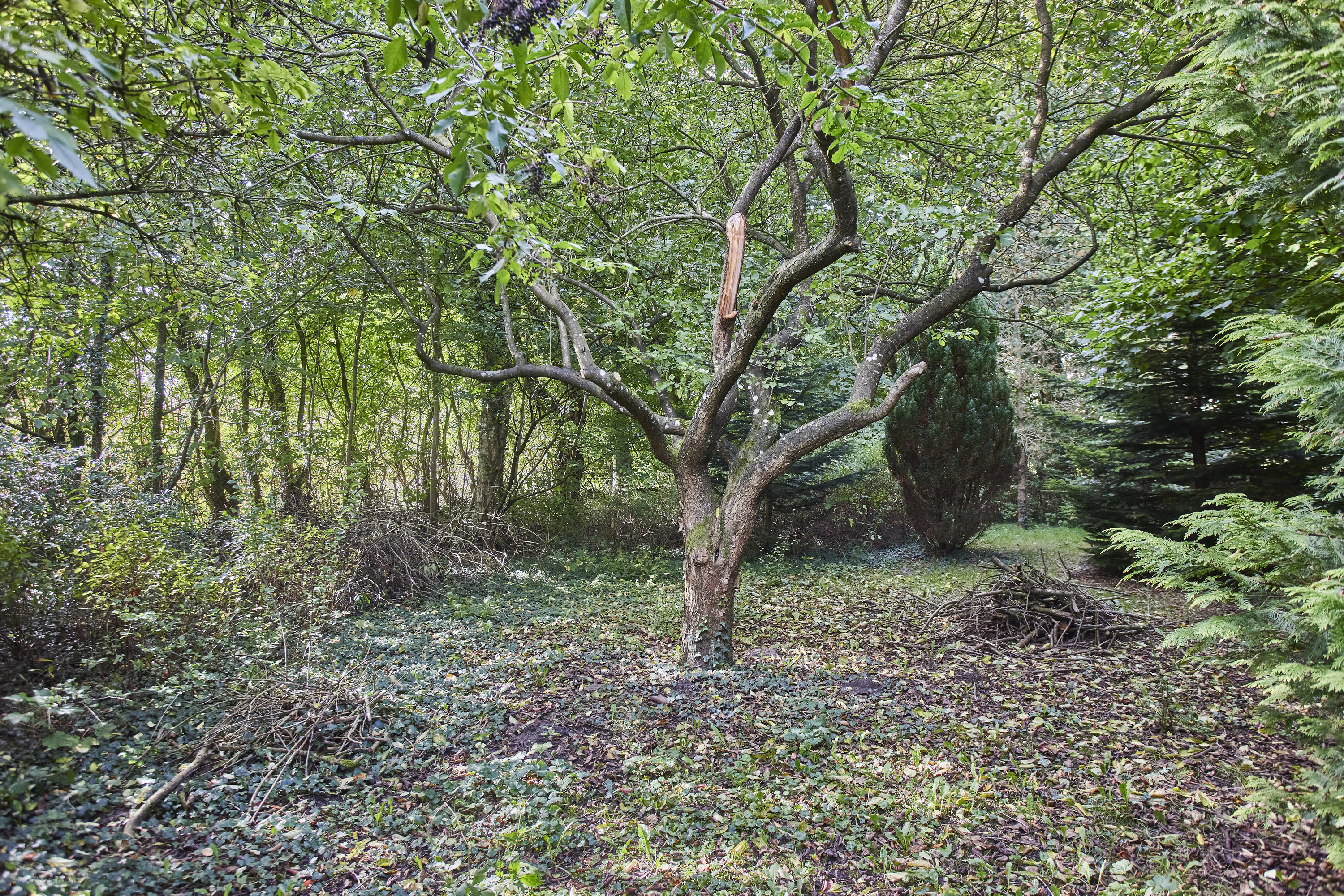 Fremhævet område billede i fuldskærmstilstand. Billede af Sjørup Mark 3, Vroue, 8800 Viborg