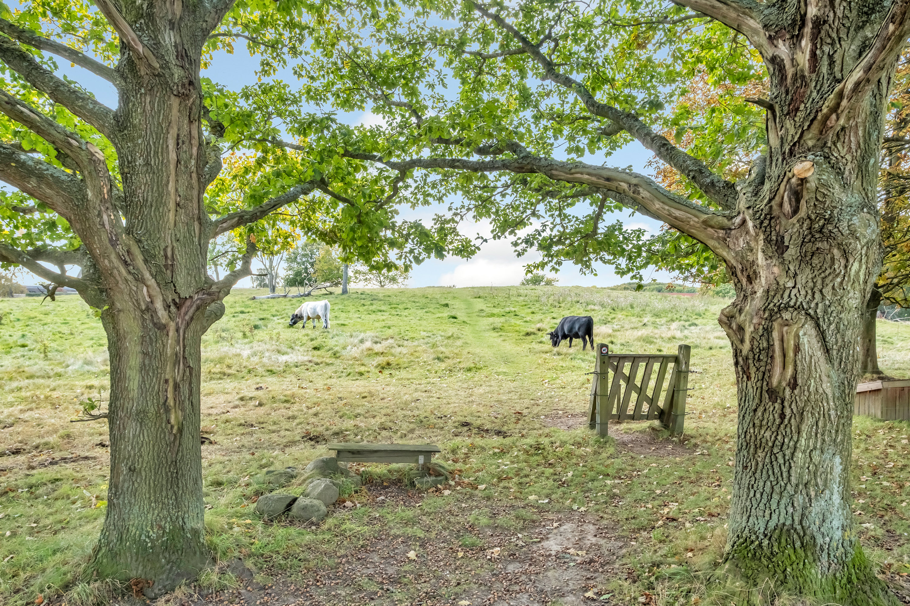 Fremhævet område billede i fuldskærmstilstand. Billede af Hyldehaven 49, 8520 Lystrup