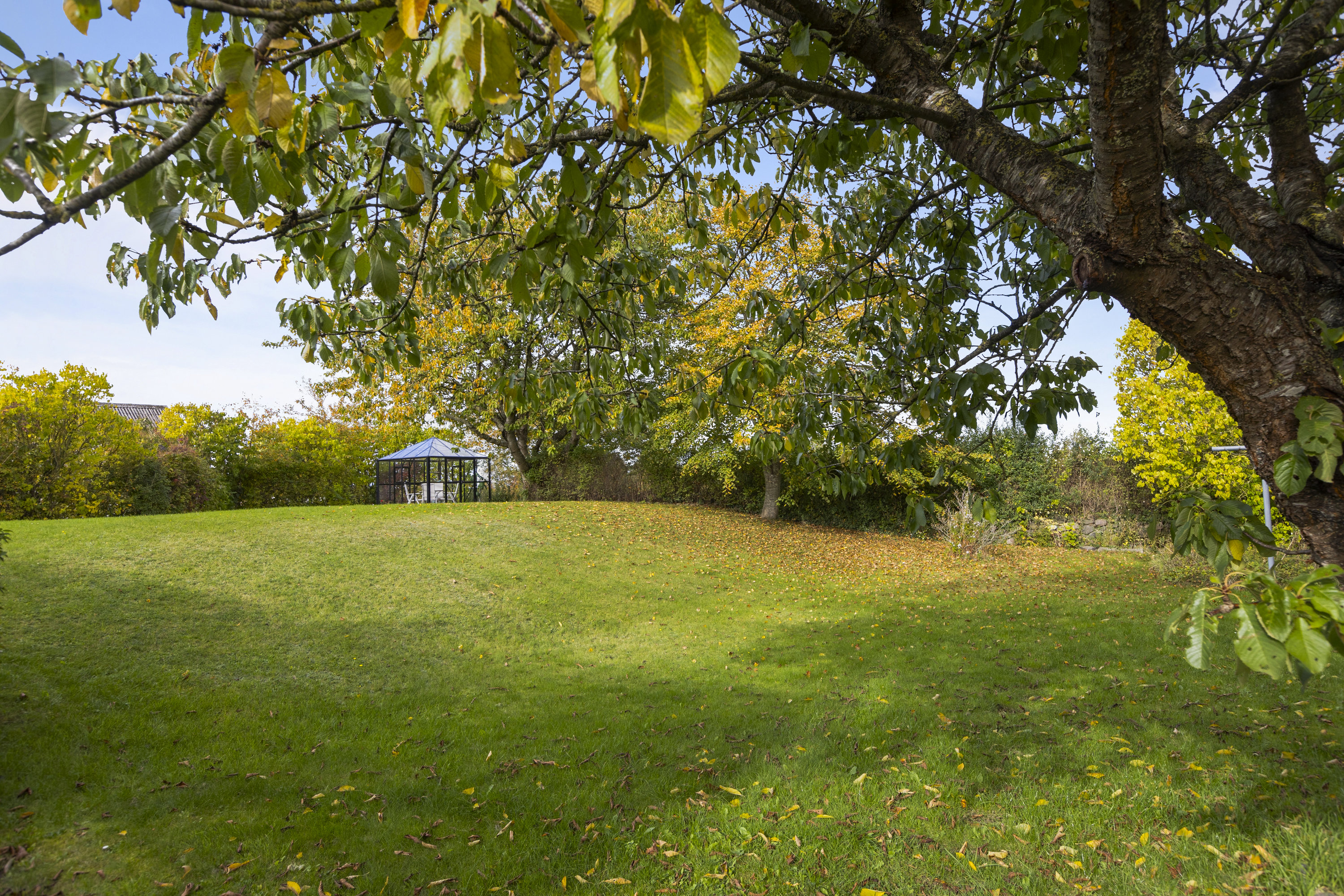 Miniaturebillede 1: have. Billede af Melbygade 8, 4400 Kalundborg