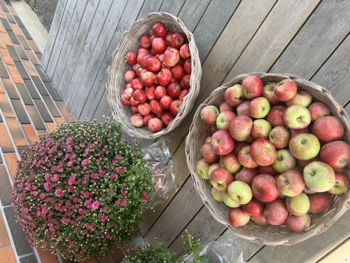 Fremhævet  billede i fuldskærmstilstand. Billede af H C Lumbyes Vej 53, Strib, 5500 Middelfart
