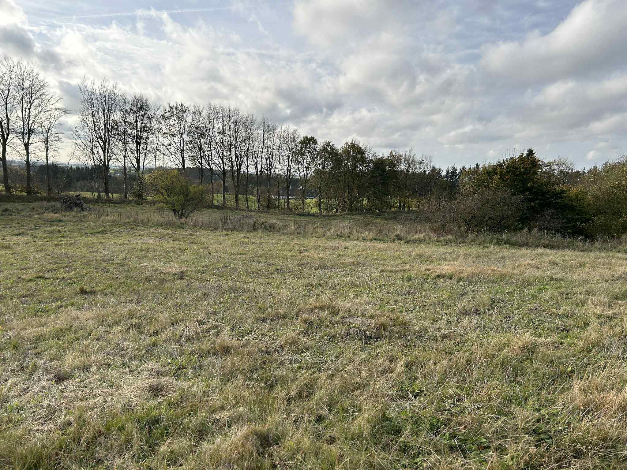 Miniaturebillede 2: . Billede af Lendumvej 529, Lendum, 9870 Sindal